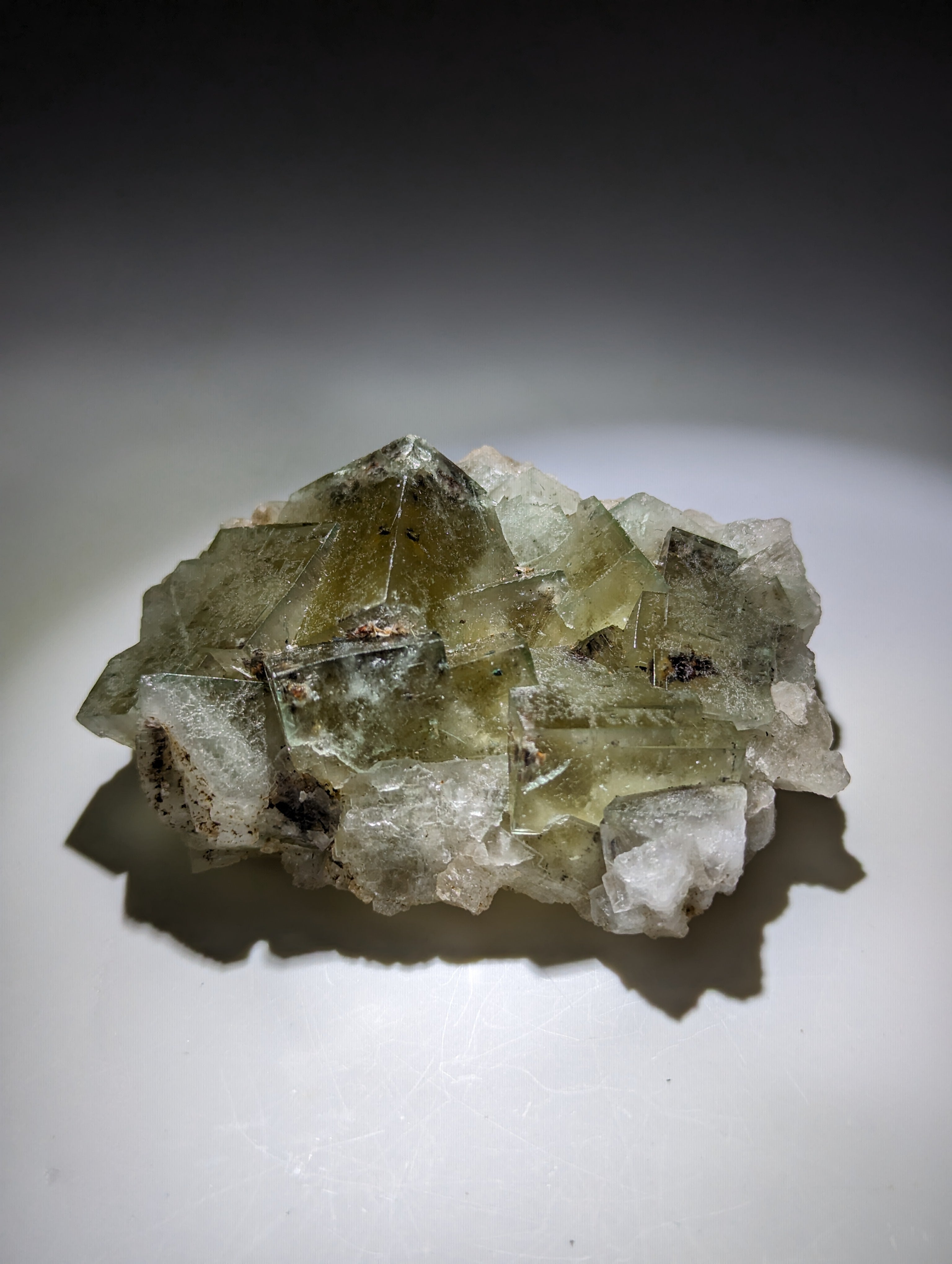 Fluorit Poison Ivy Pocket, Lady Annabella Miene