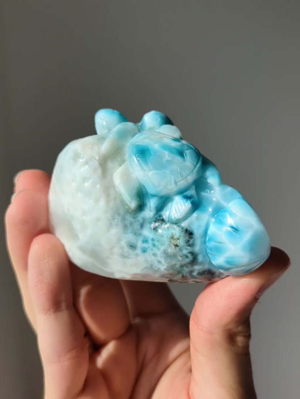 Larimar Schildkröten Muschel Skulptur Carving 🌊