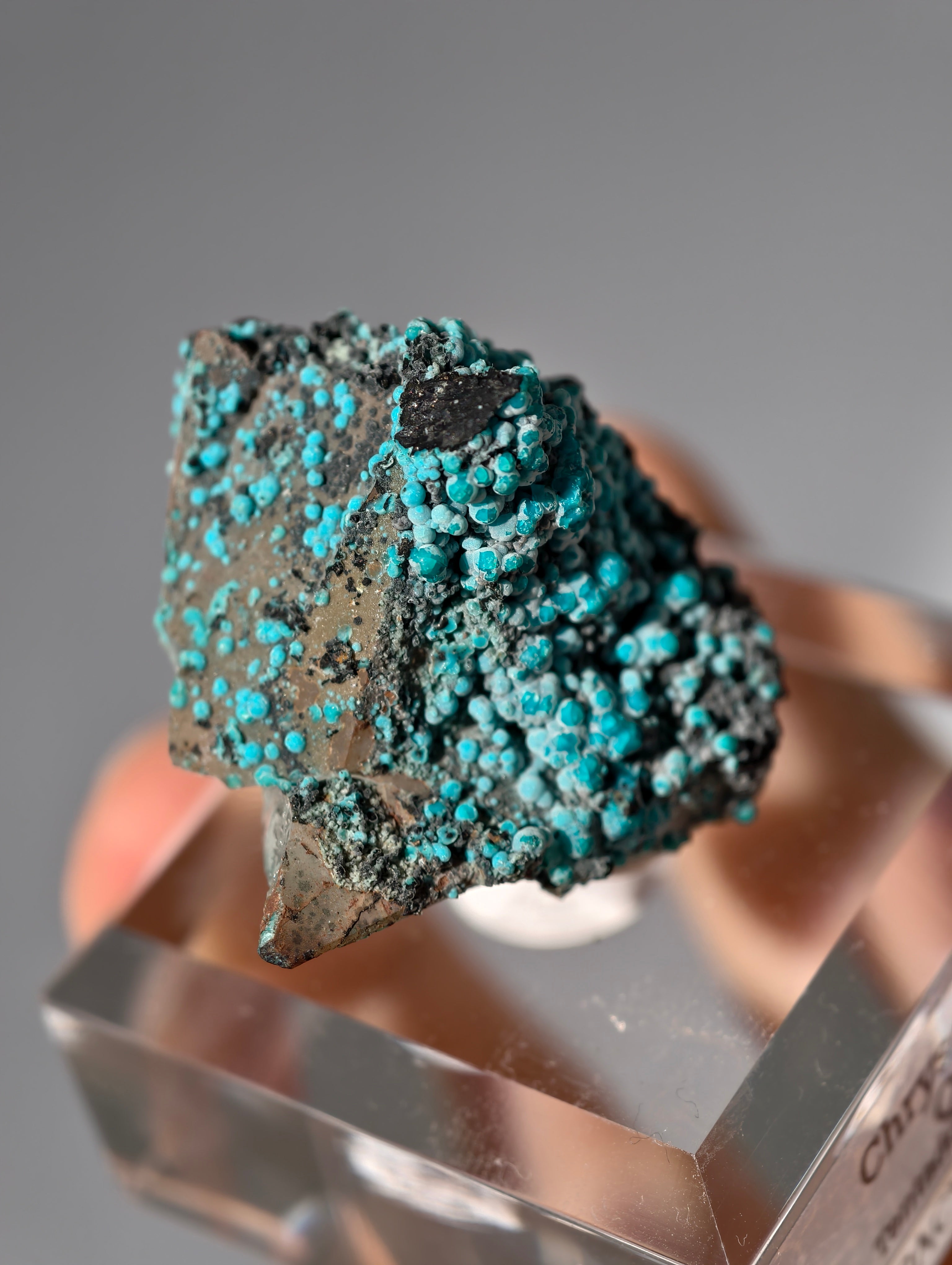 Chrysokoll auf Quarz, Tentadora Mine, Peru