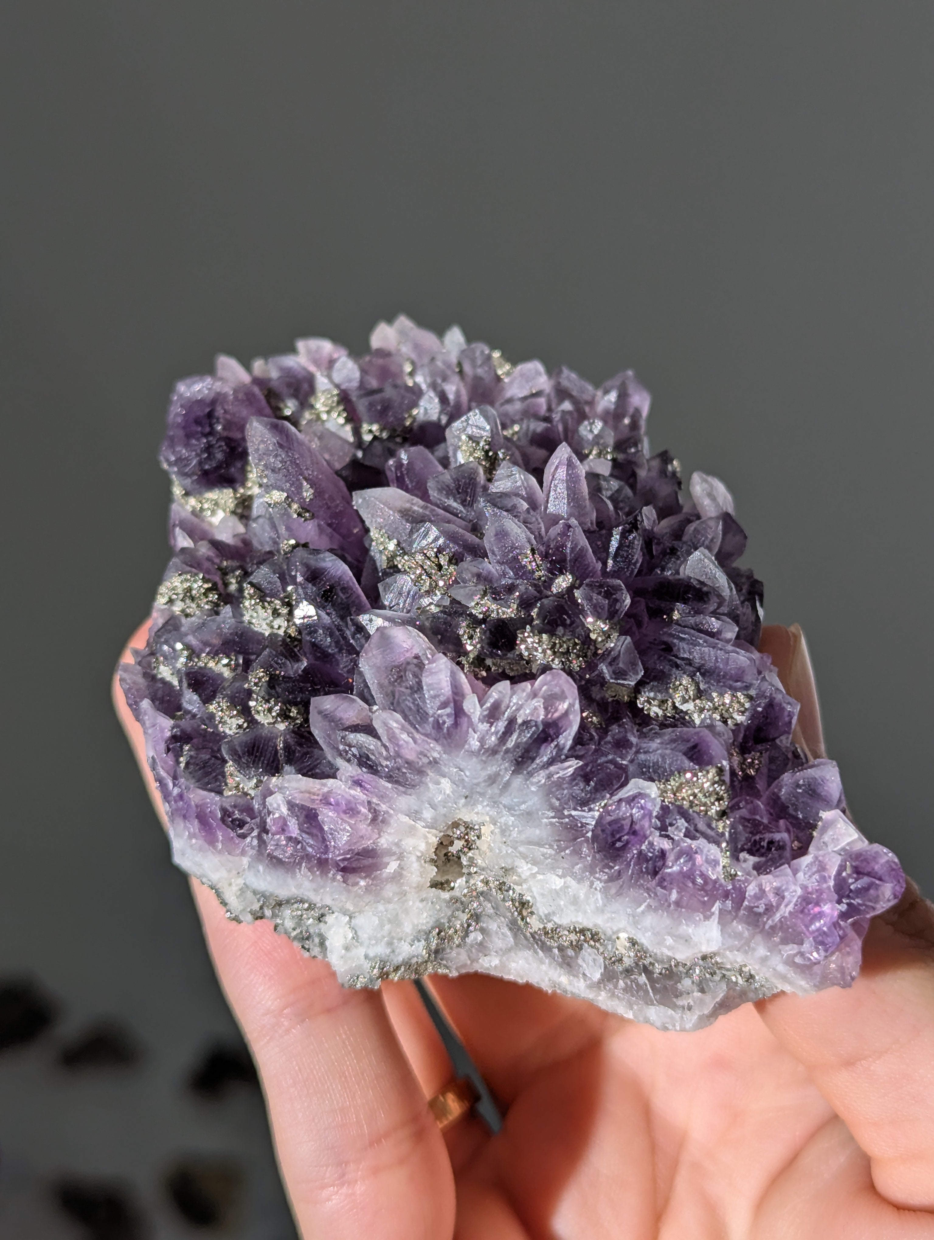 Pyrit auf dunkellila Amethyst aus Bulgarien ✨