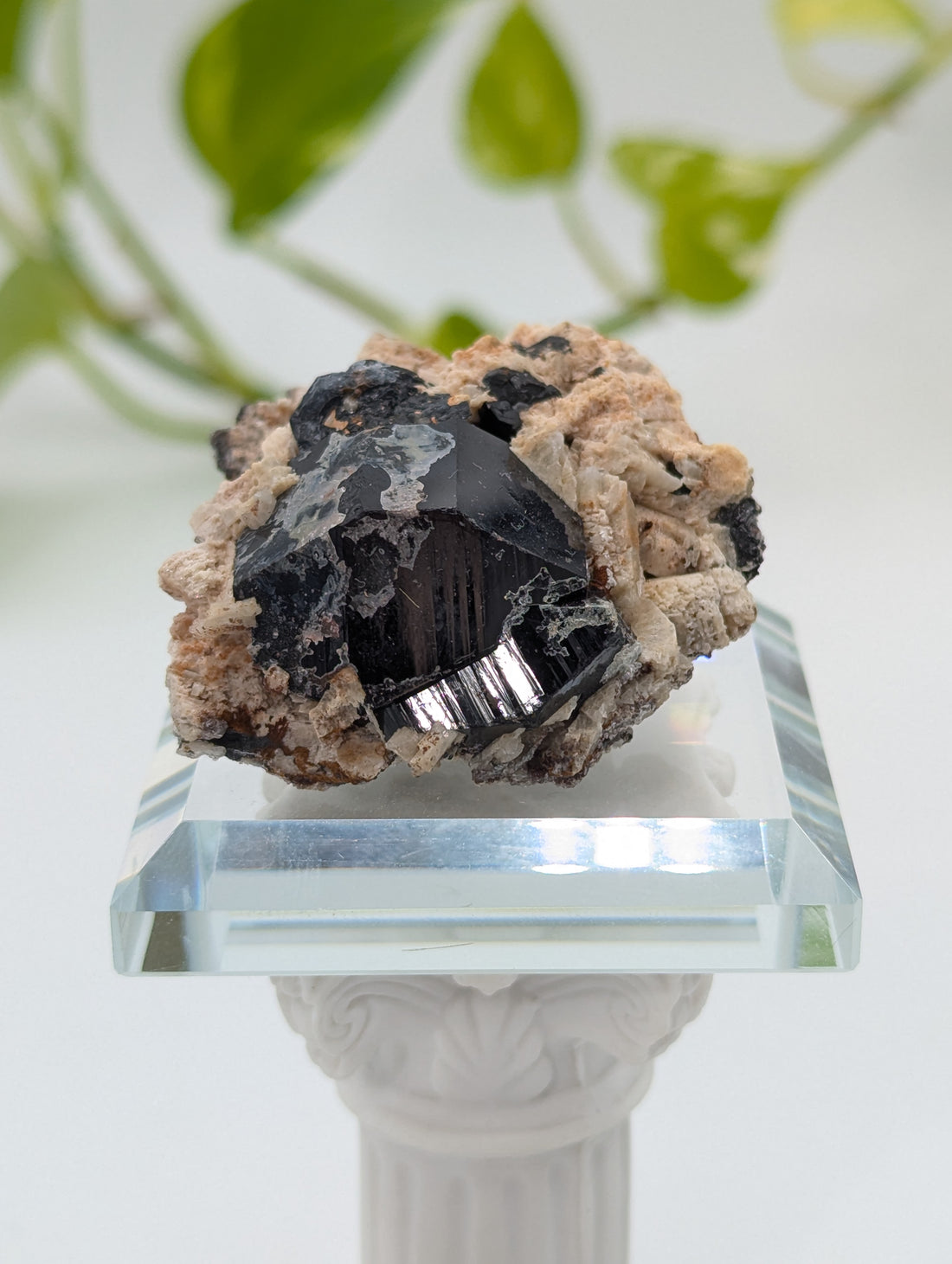 Schwarzer Turmalin (Schörl) aus Erongo V