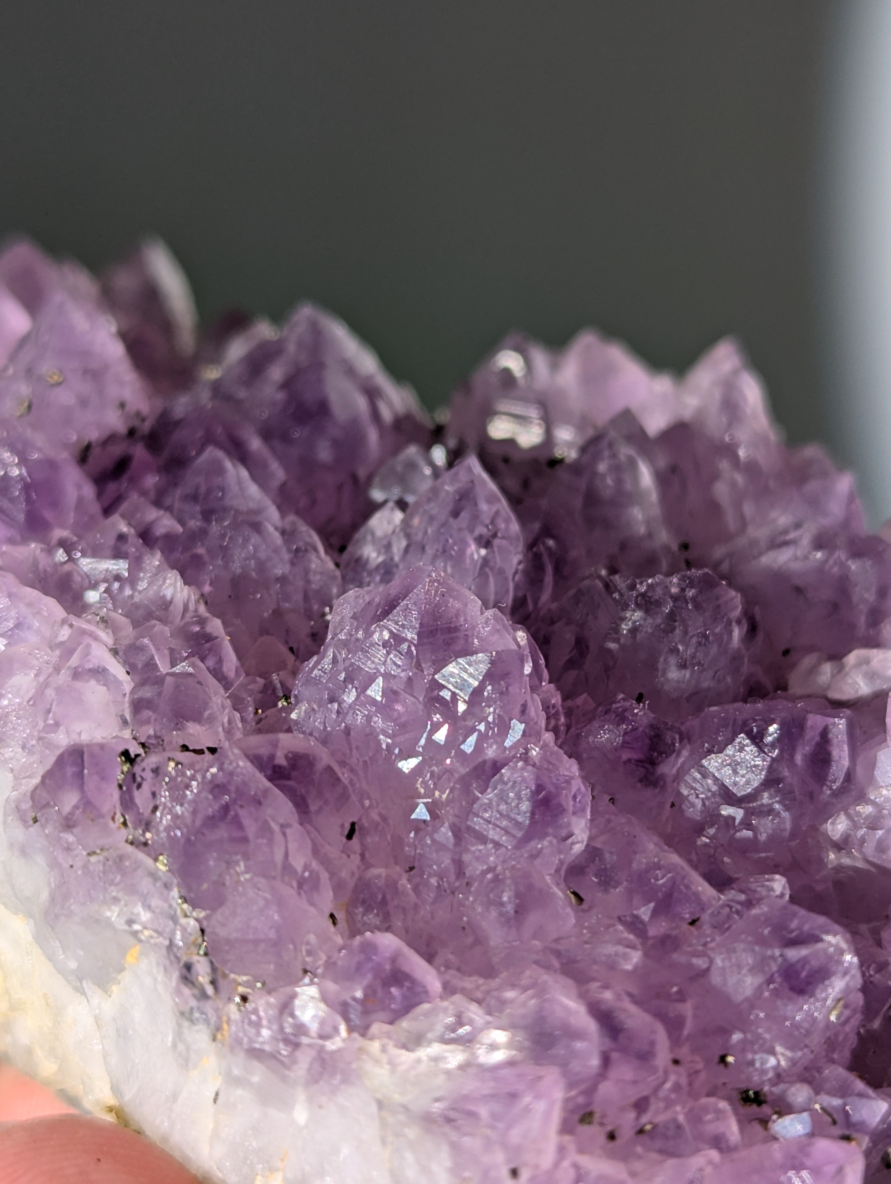 Pyrit auf Amethyst aus Bulgarien ✨