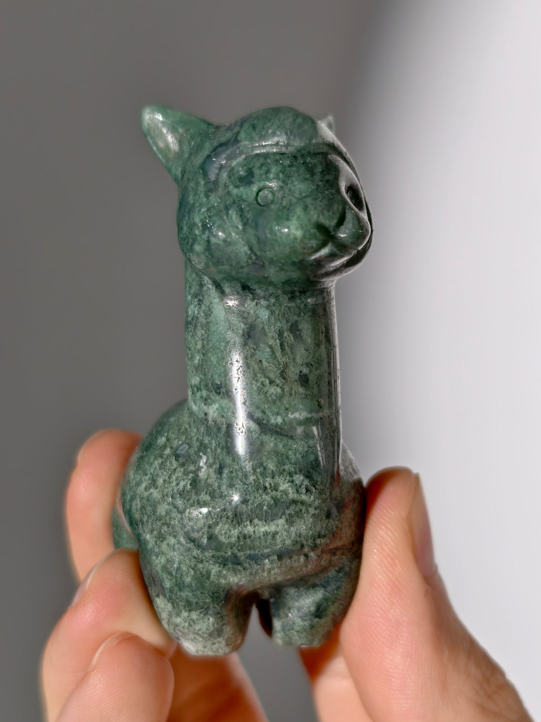 Moosachat Alpaka 🦙