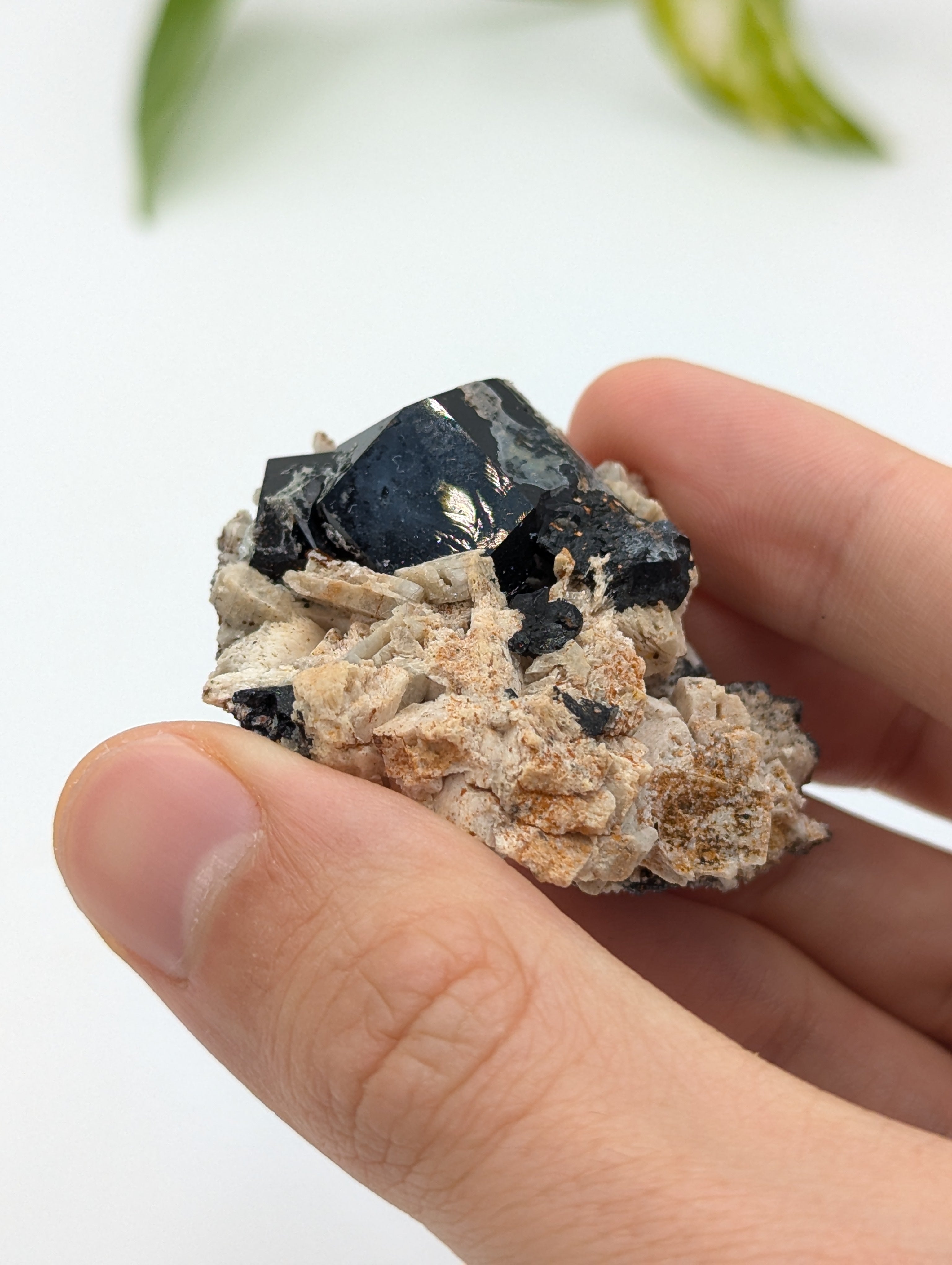 Schwarzer Turmalin (Schörl) aus Erongo V