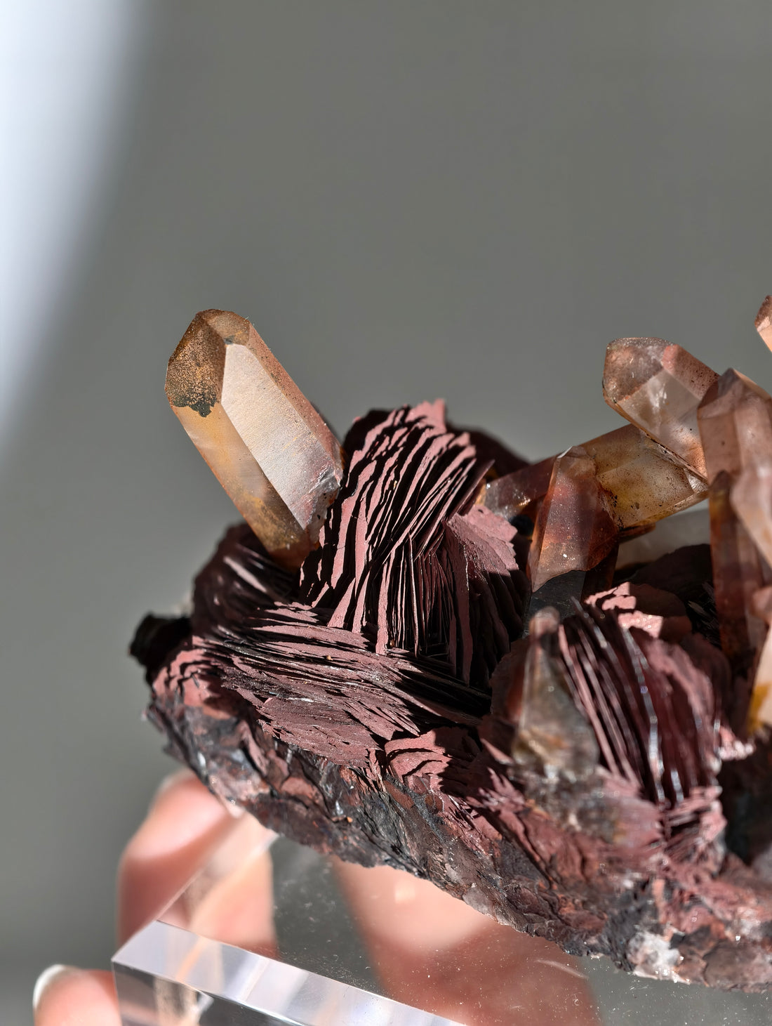 Rote Hämatit Rose mit Hämatitquarz aus Jinlong