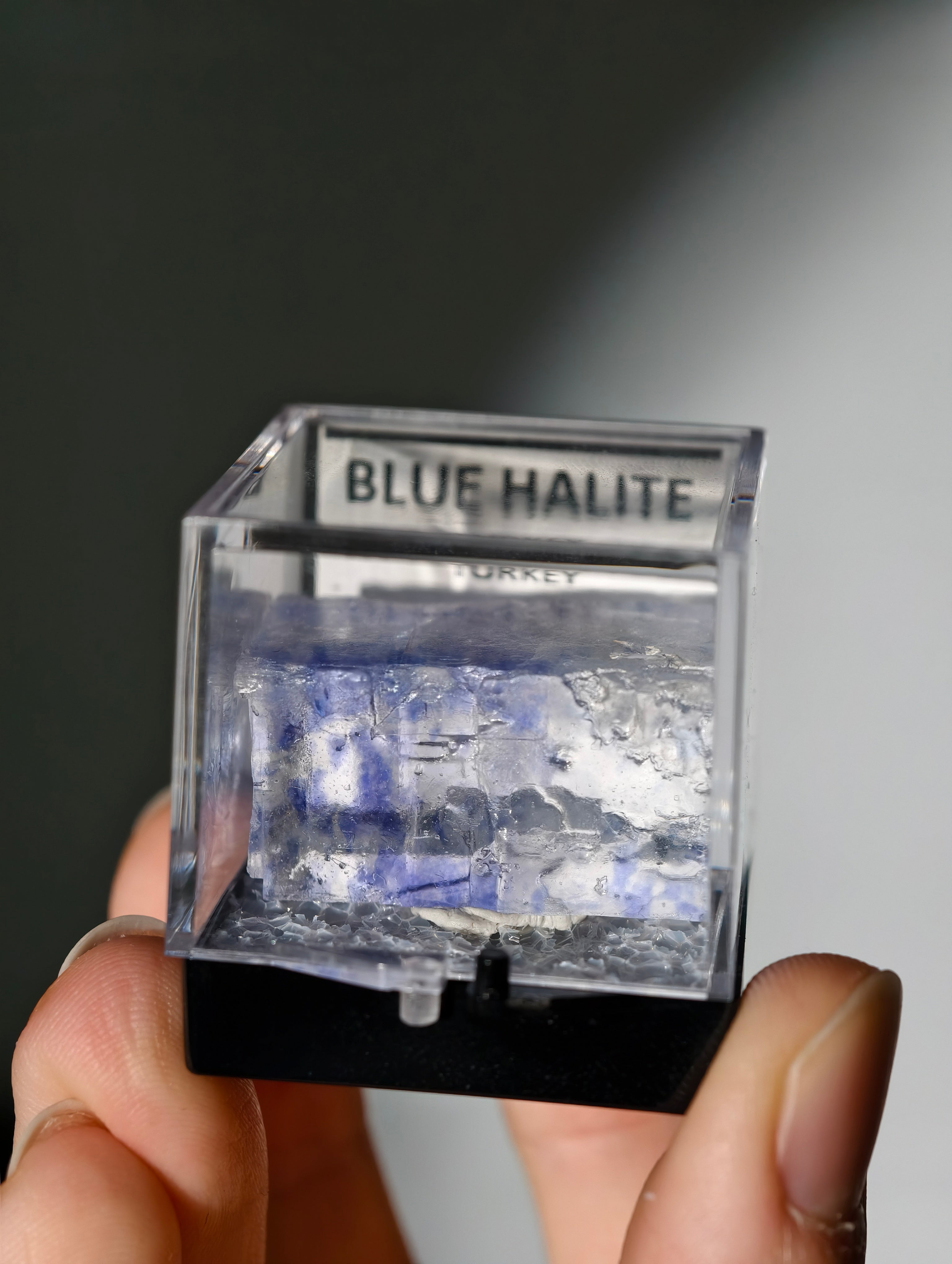 Blauer Halit aus Türkei in Box