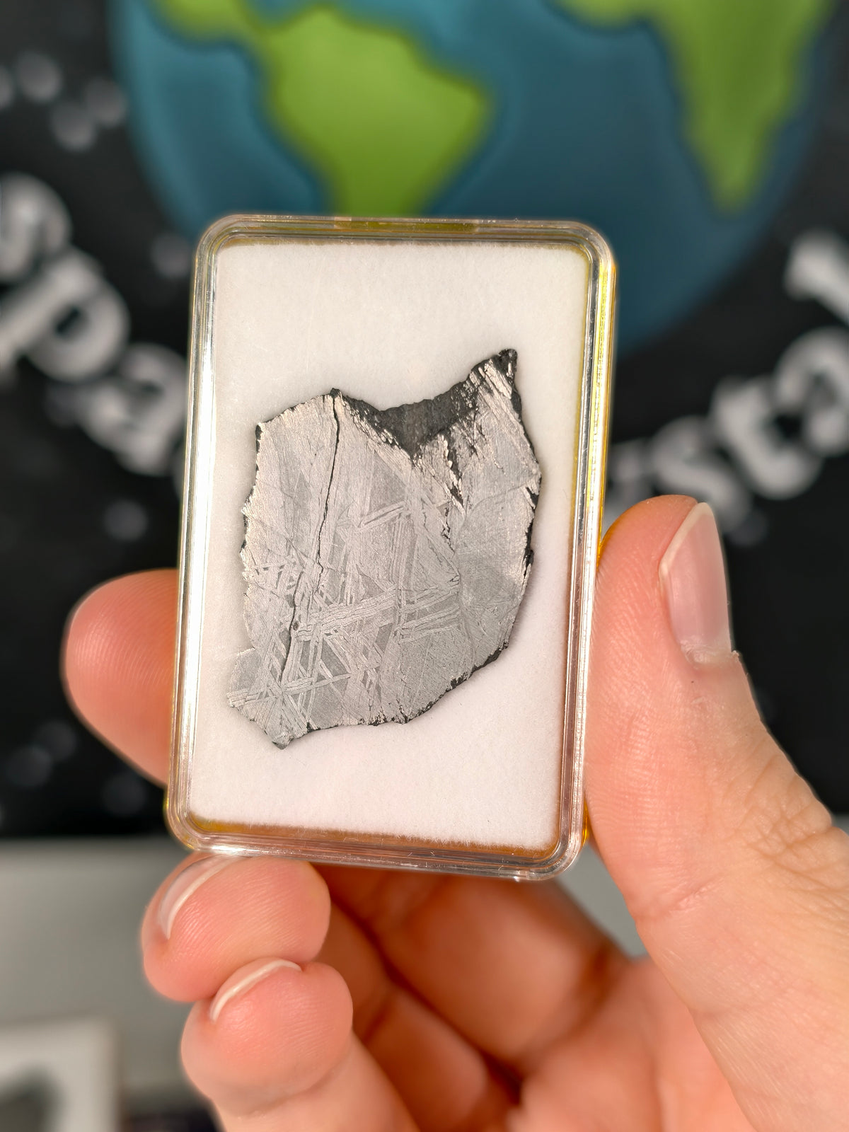 Muonionalusta Meteorit Scheibe 7,54g mit Zertifikat