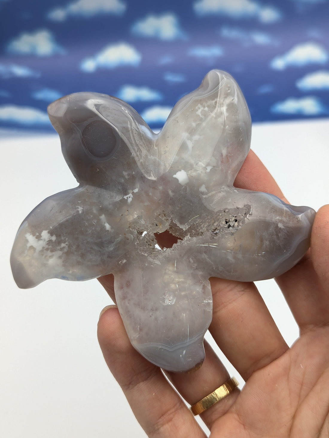 Achat Seestern mit Kristall Druse