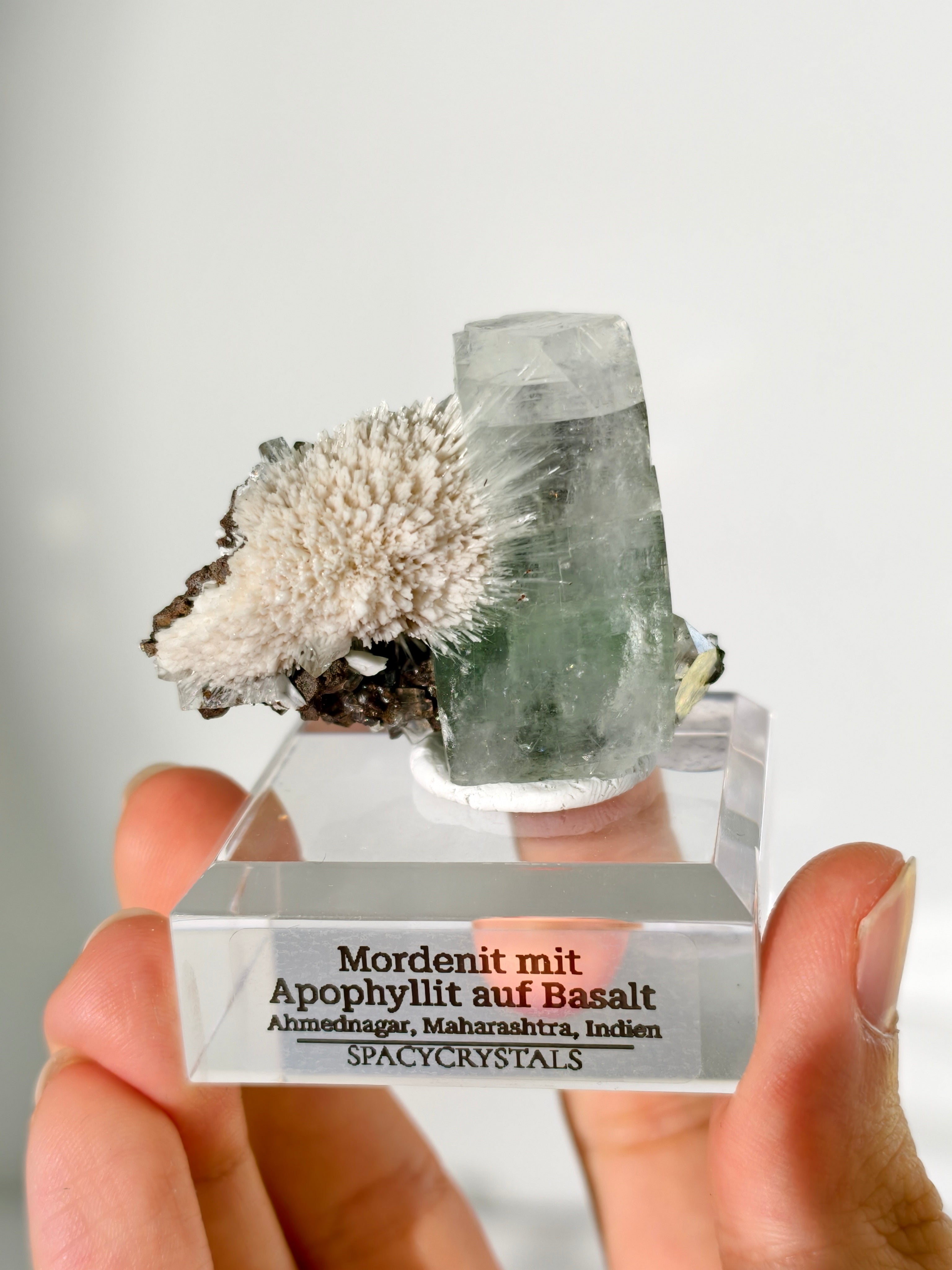 Mordenit mit Apophyllit auf Basalt aus Indien