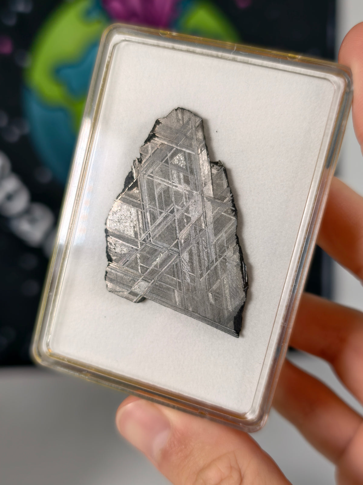 Muonionalusta Meteorit Scheibe 18,86g mit Zertifikat