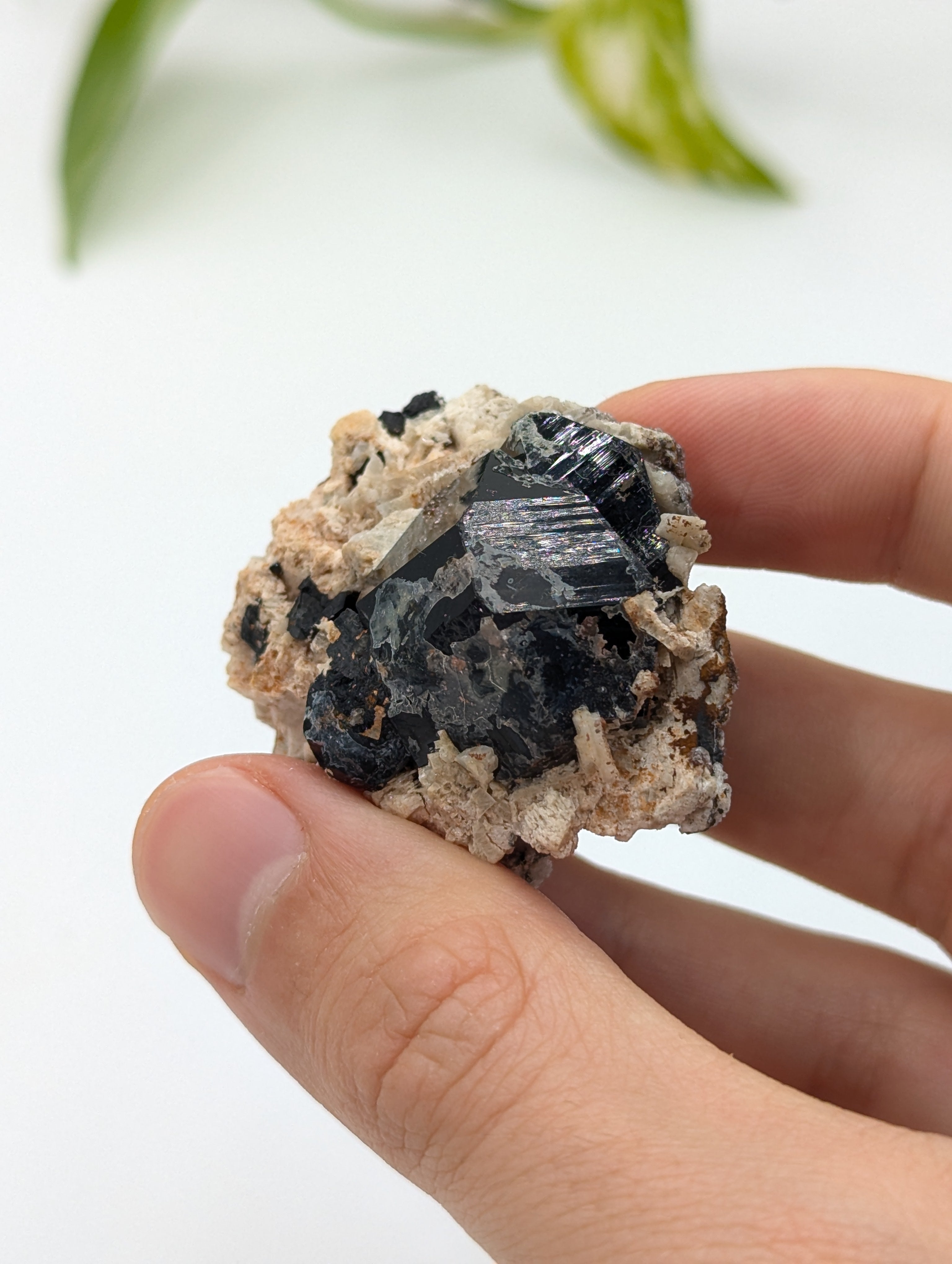 Schwarzer Turmalin (Schörl) aus Erongo V