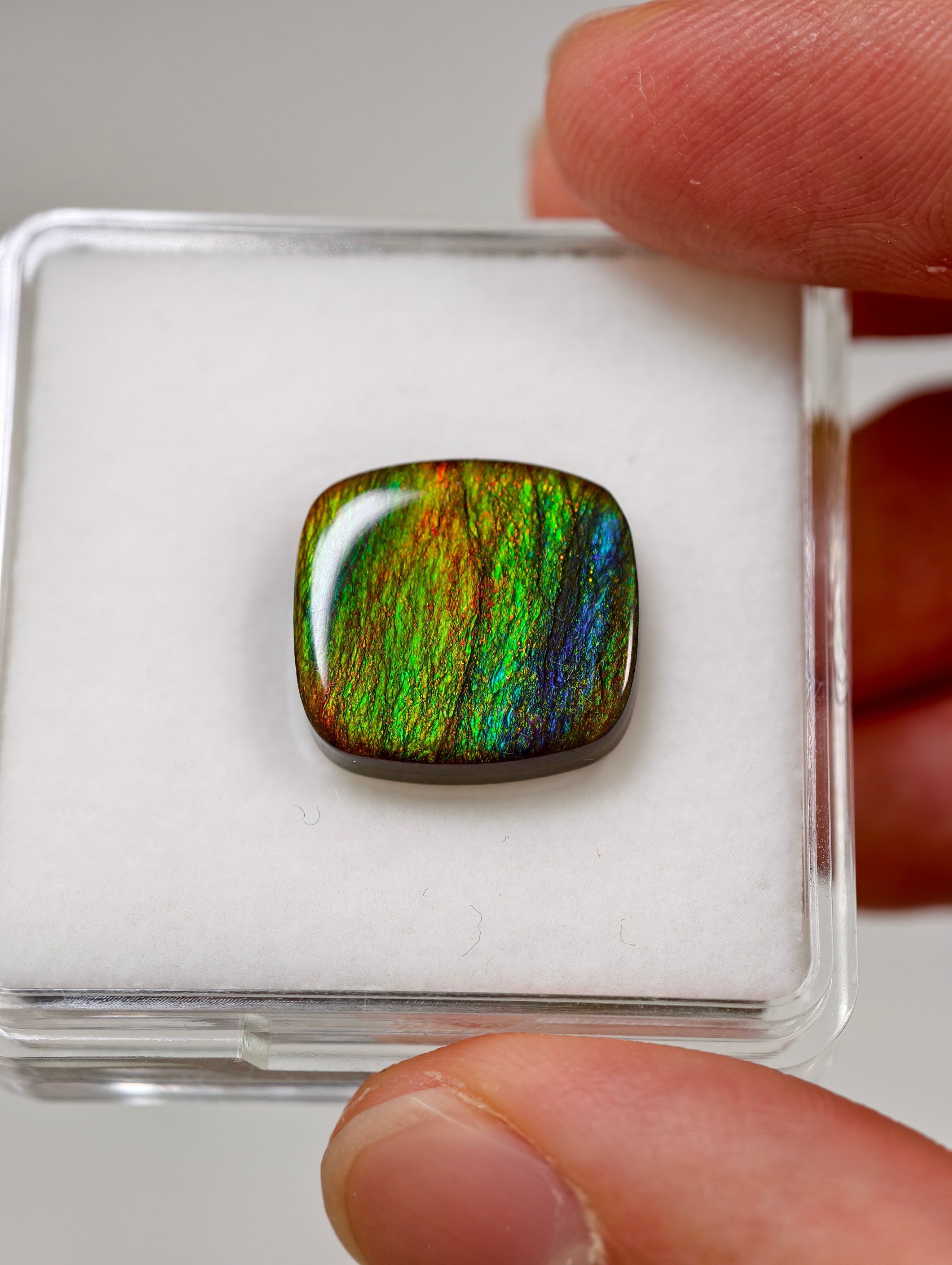 Ammolit Cabochons aus Kanada (TOP QUALITÄT)