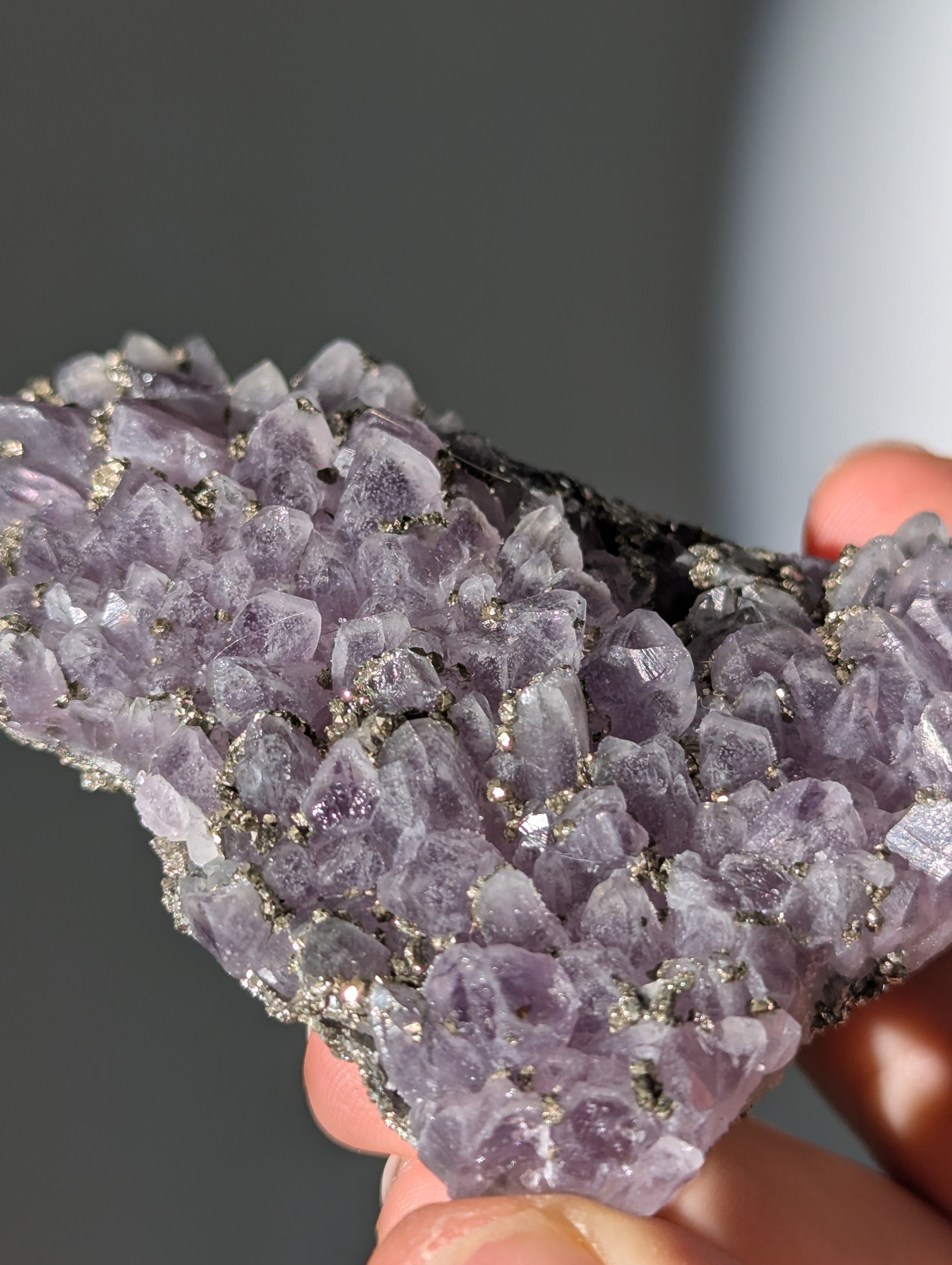 Pyrit auf Amethyst aus Bulgarien ✨