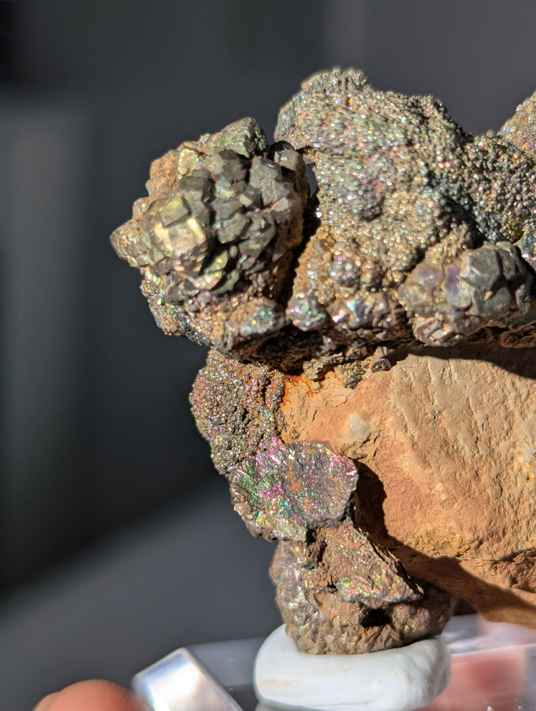 Irisierender Pyrit auf Limonit