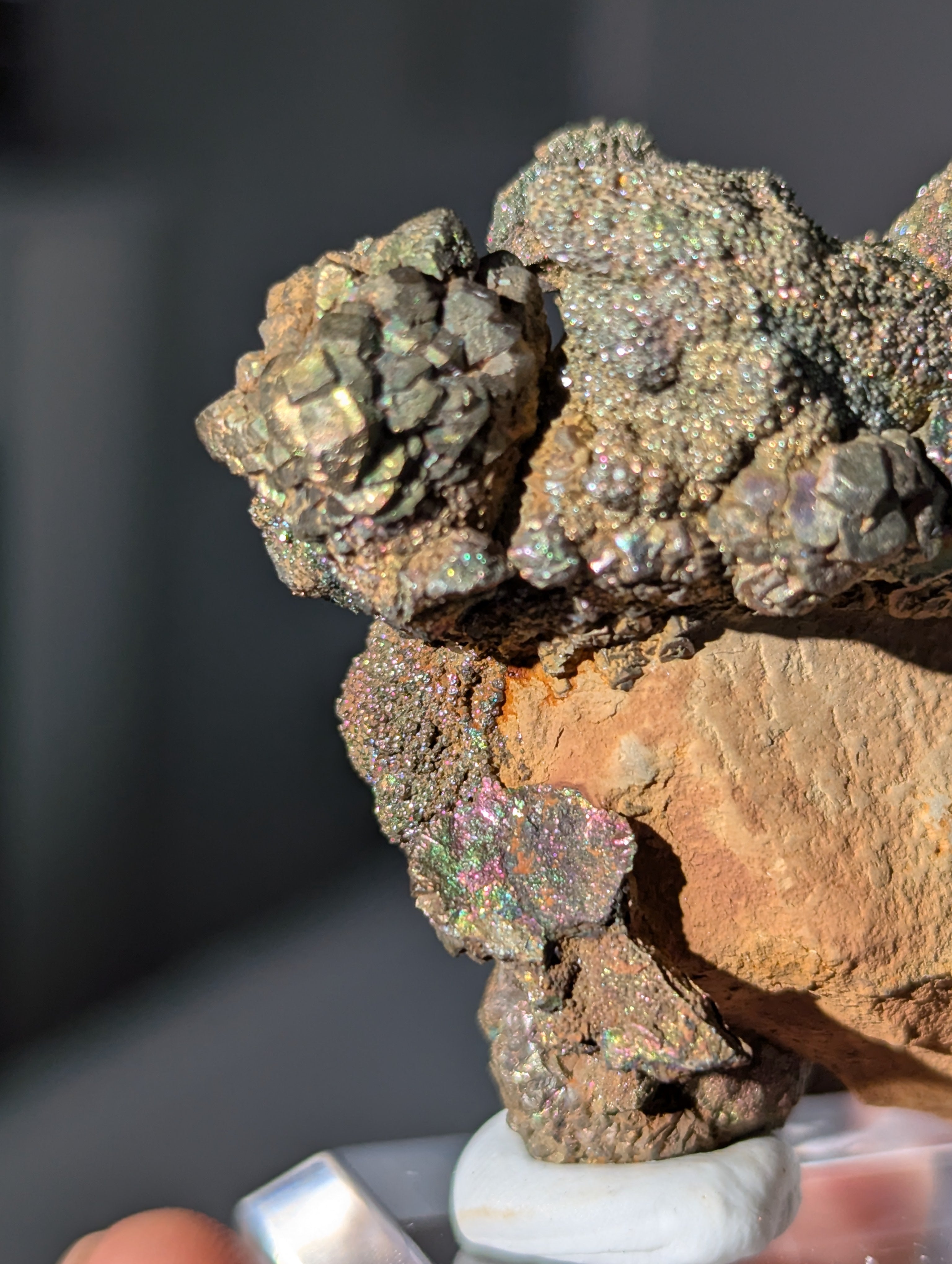 Irisierender Pyrit auf Limonit