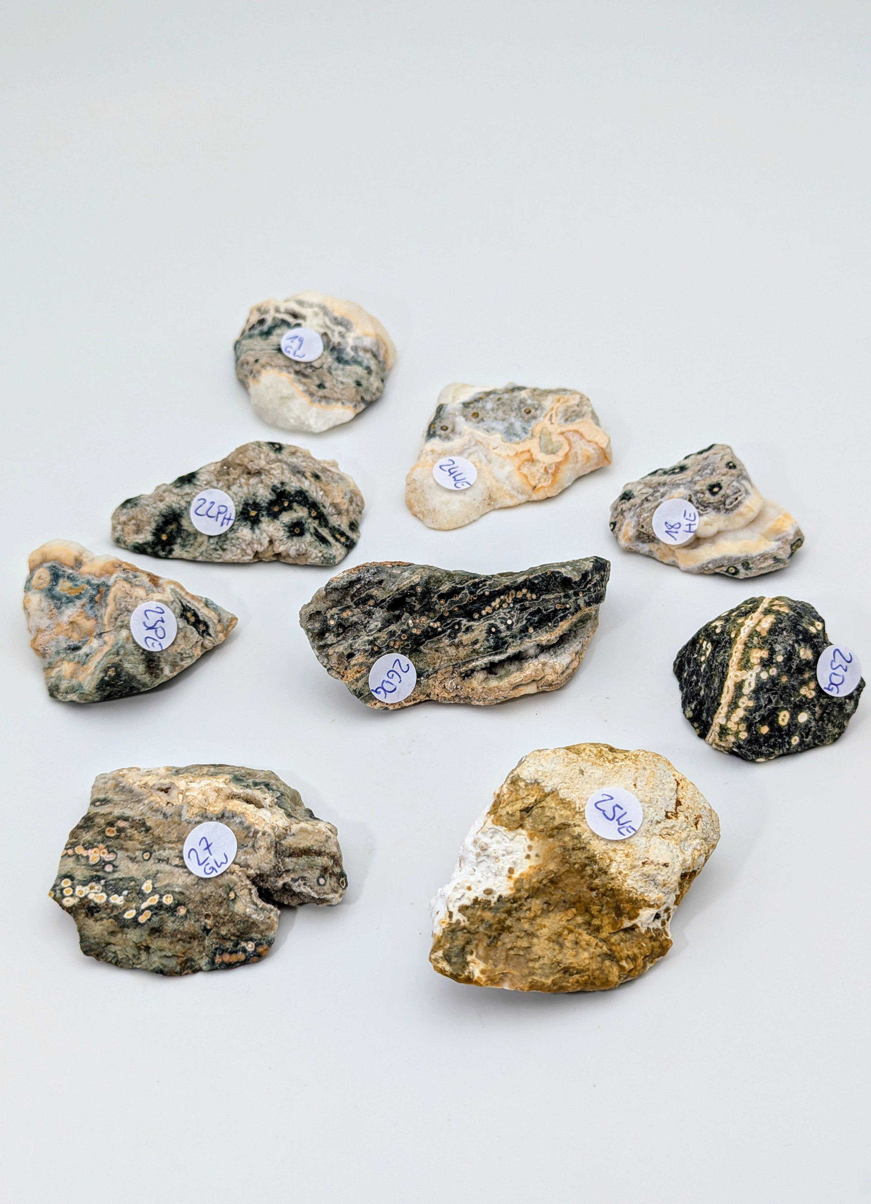 Ozeanjaspis Old Stock angeschliffene Rohsteine