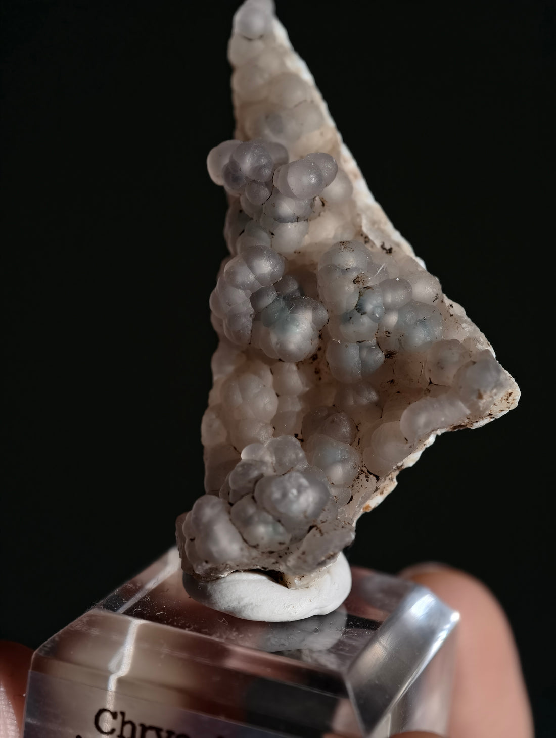 Neufund! Chrysokoll in Chalcedon aus Indonesien