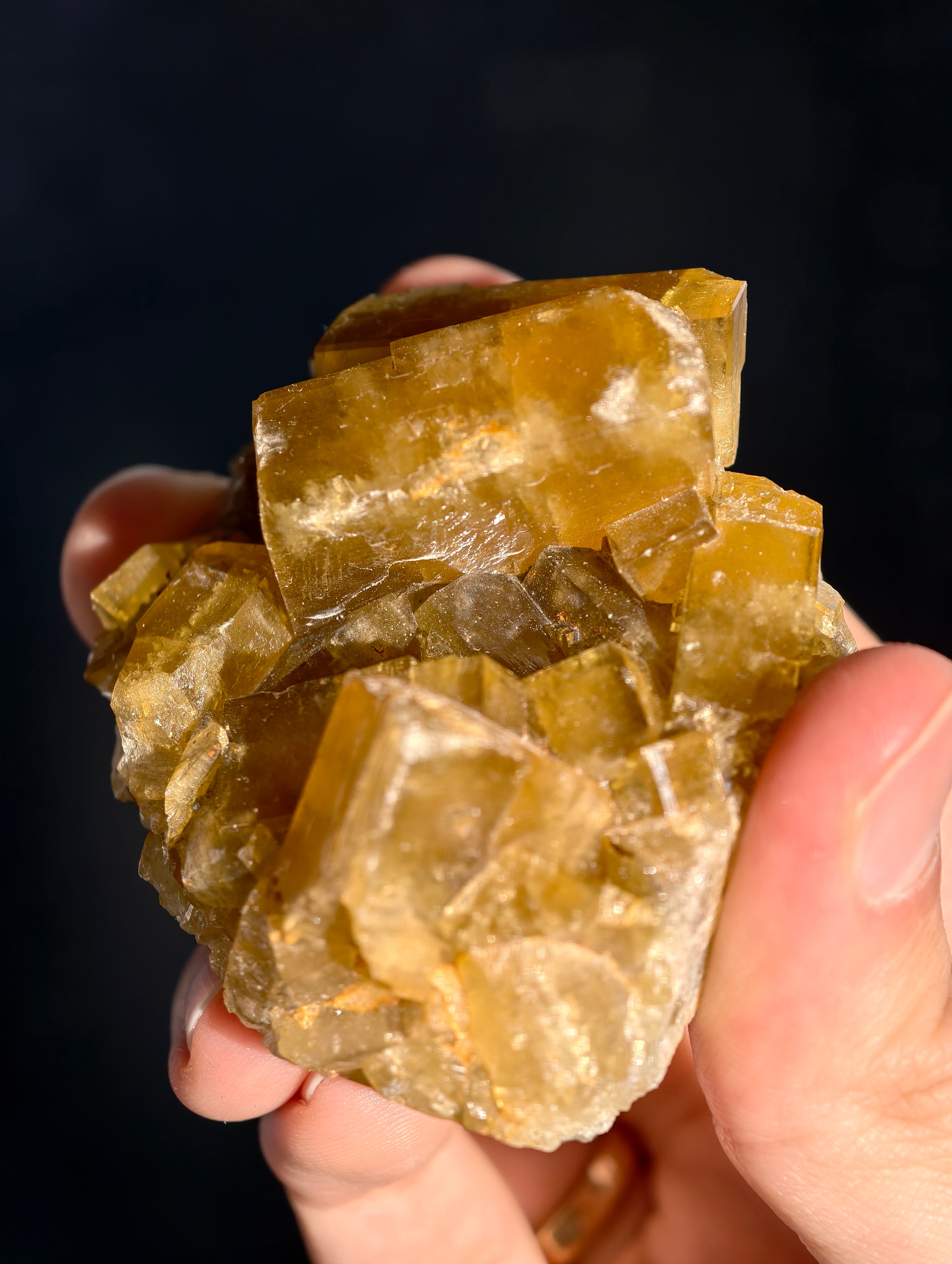 Goldgelber Barit 🍯 aus Jiangxi