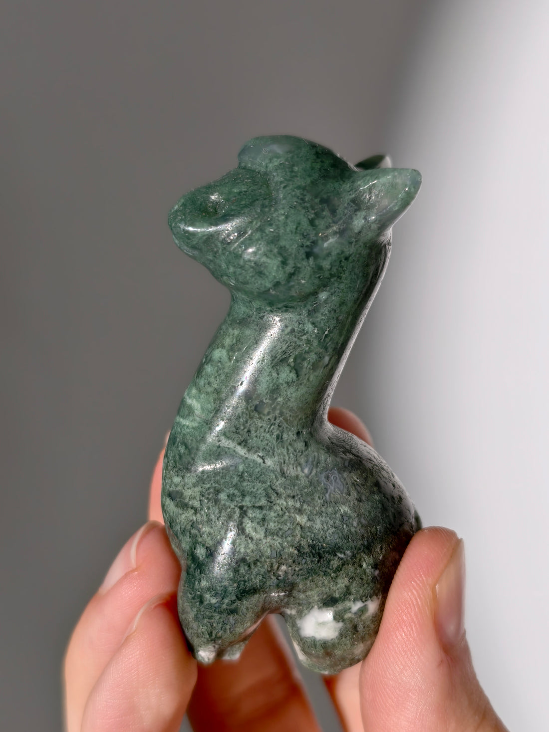 Moosachat Alpaka 🦙