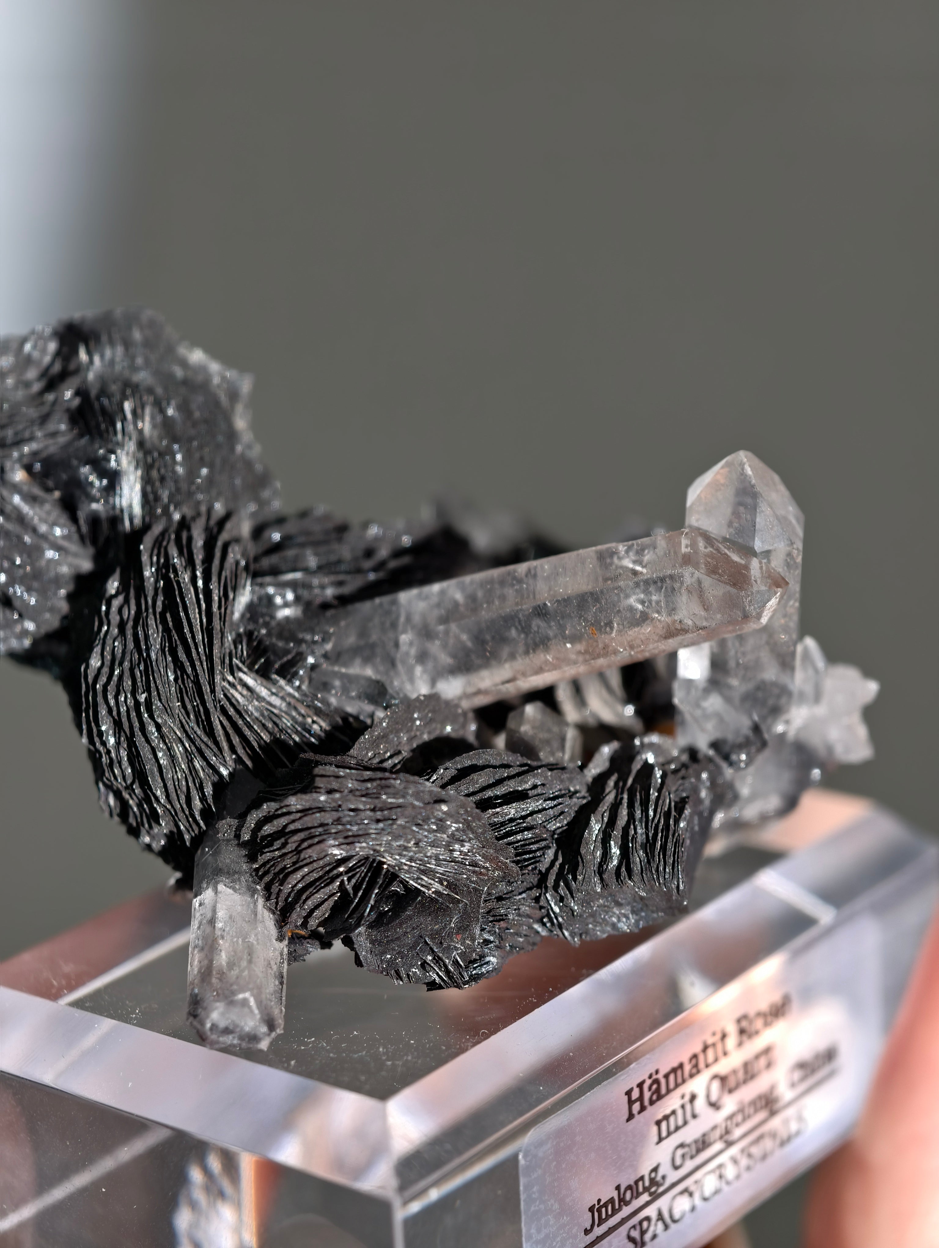 Schwarze Hämatit Rose mit Bergkristall aus Jinlong