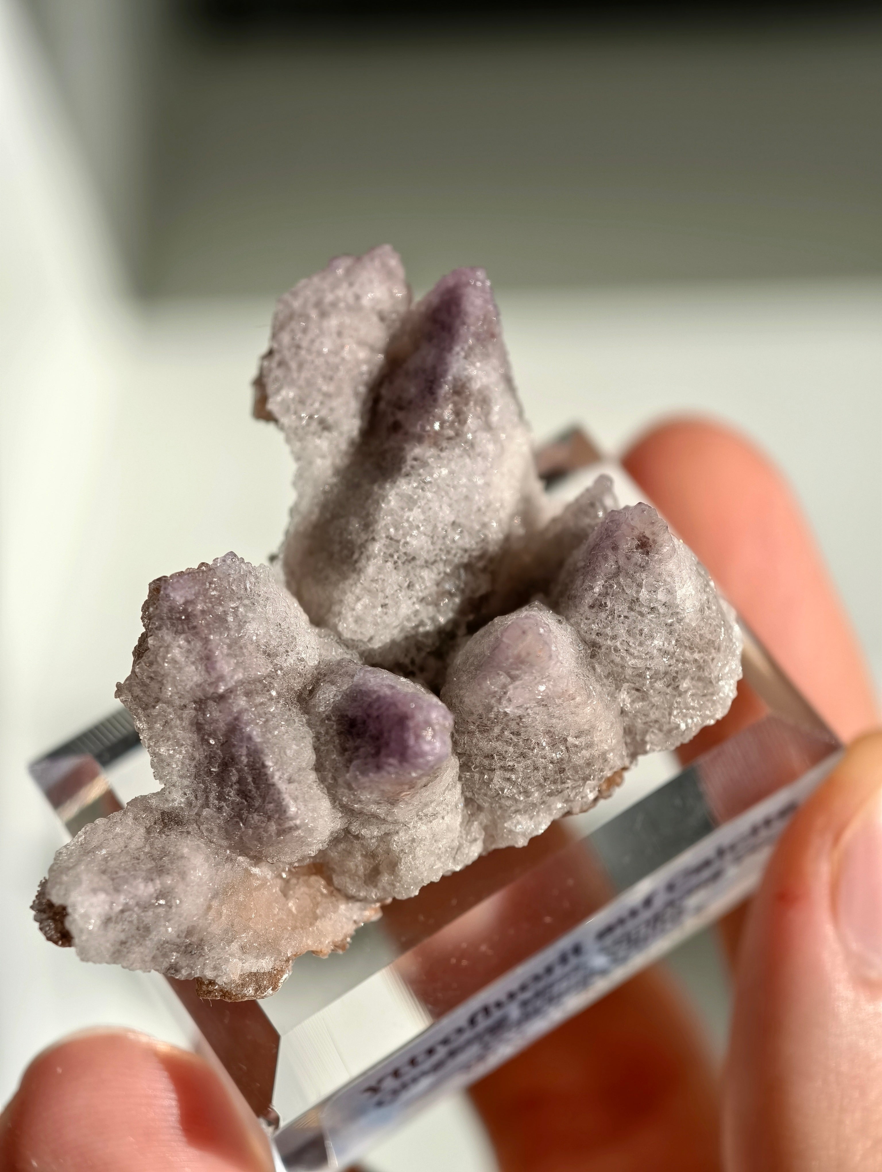 Lila Yttriumfluorit auf Dogtooth Calcit