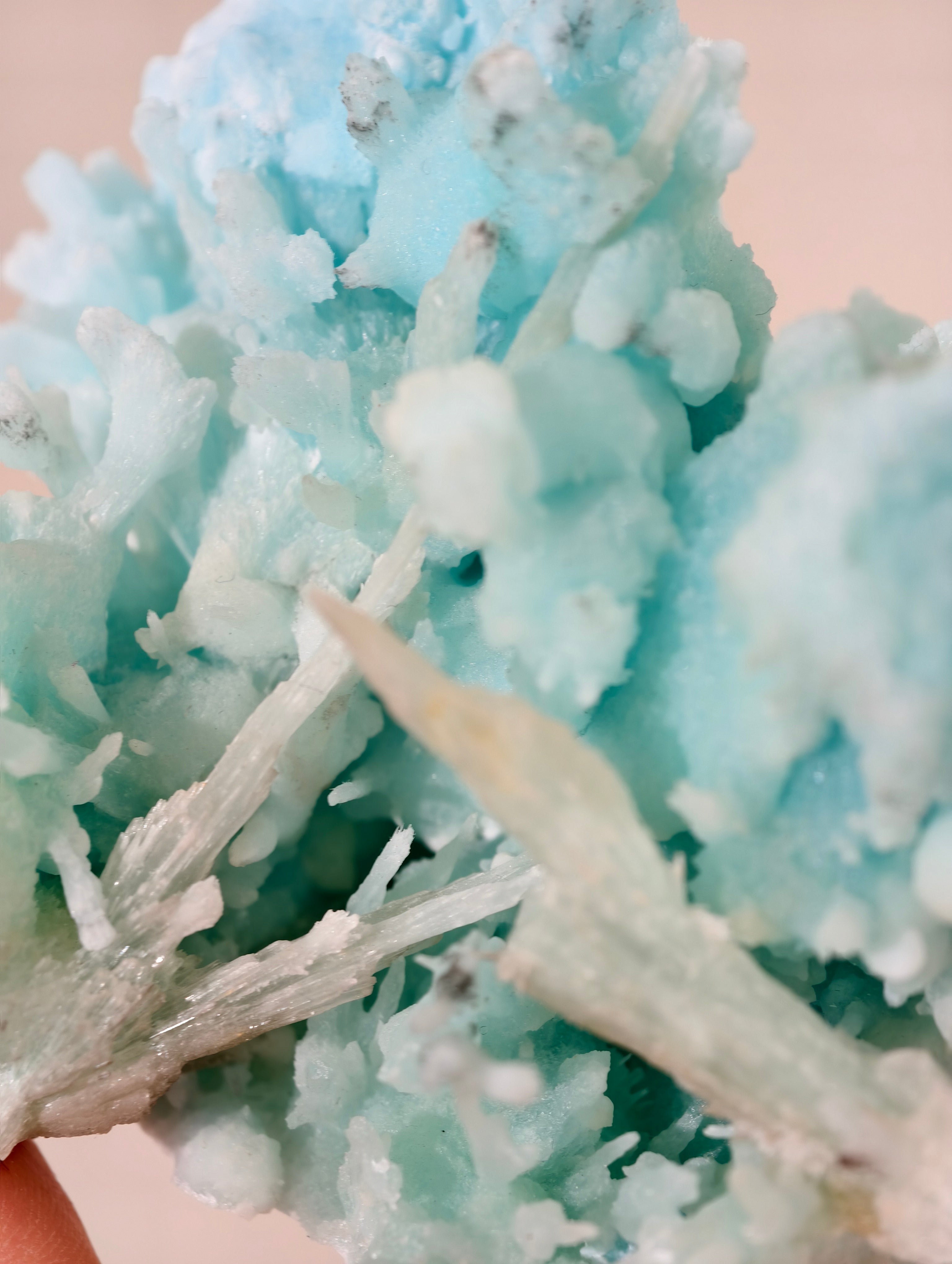 Wow! Blauer Aragonit 🪸🩵 aus der Wenshan Mine