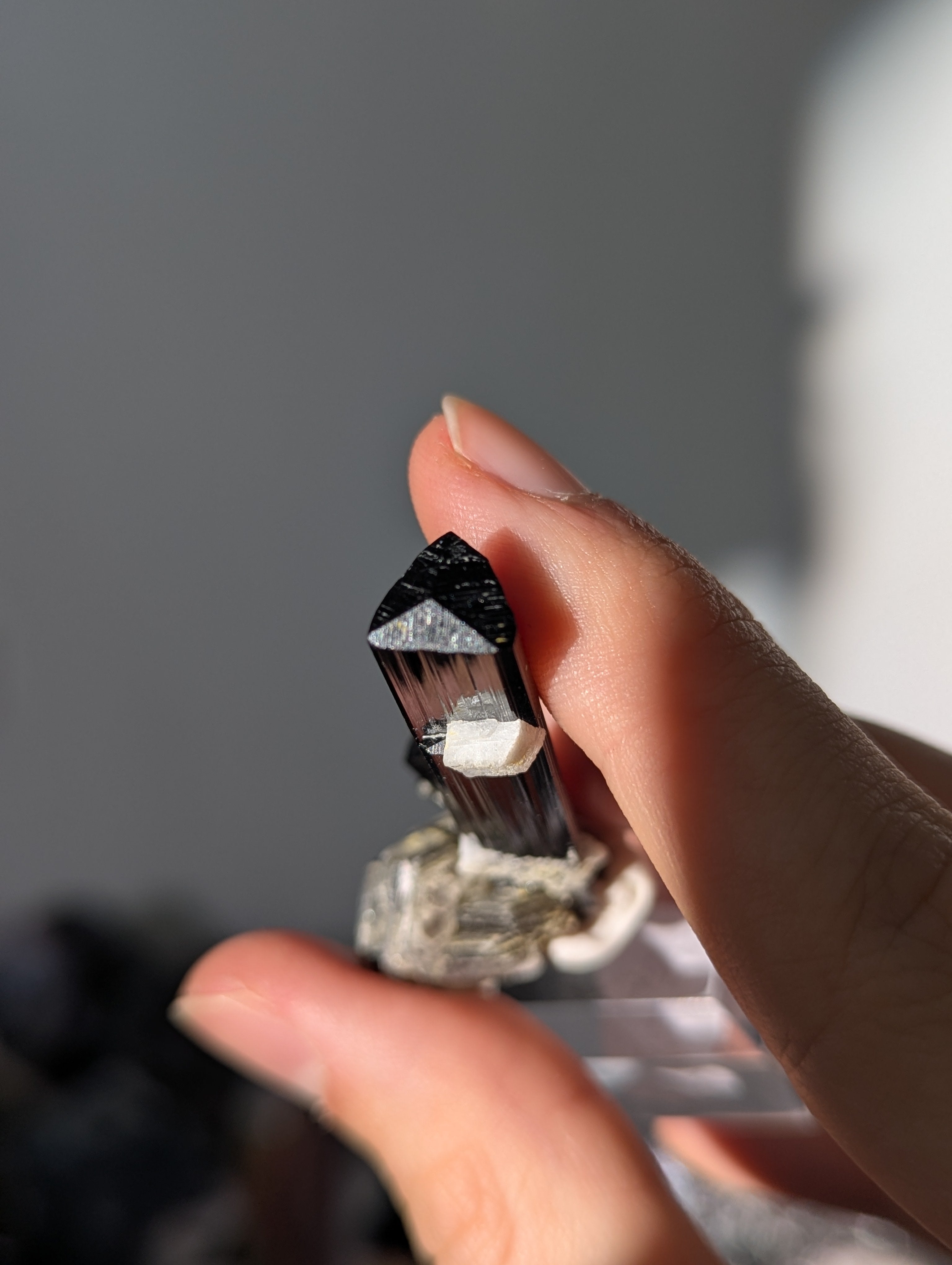 Schwarzer Turmalin (Schörl) mit Albit & Glimmer auf Podest