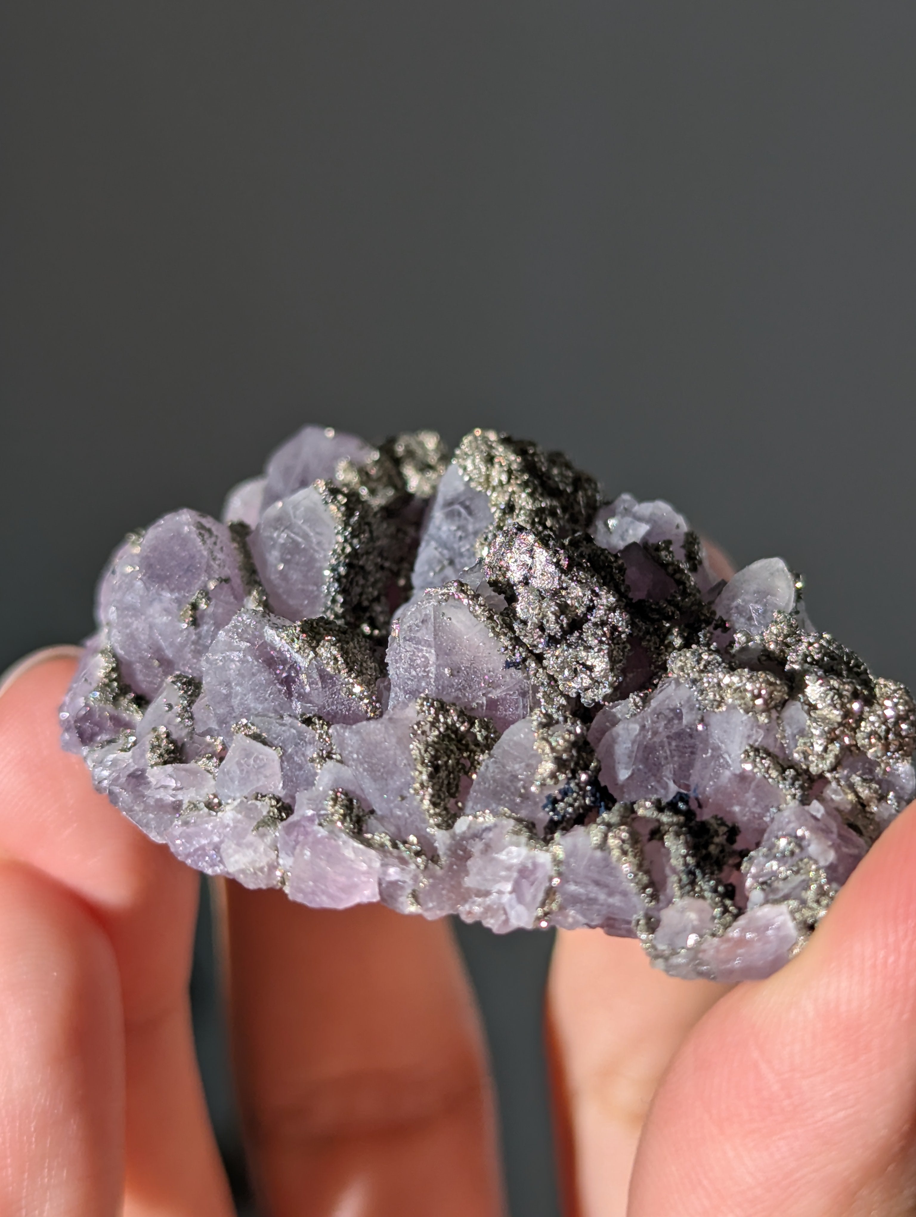 Pyrit auf Amethyst aus Bulgarien ✨
