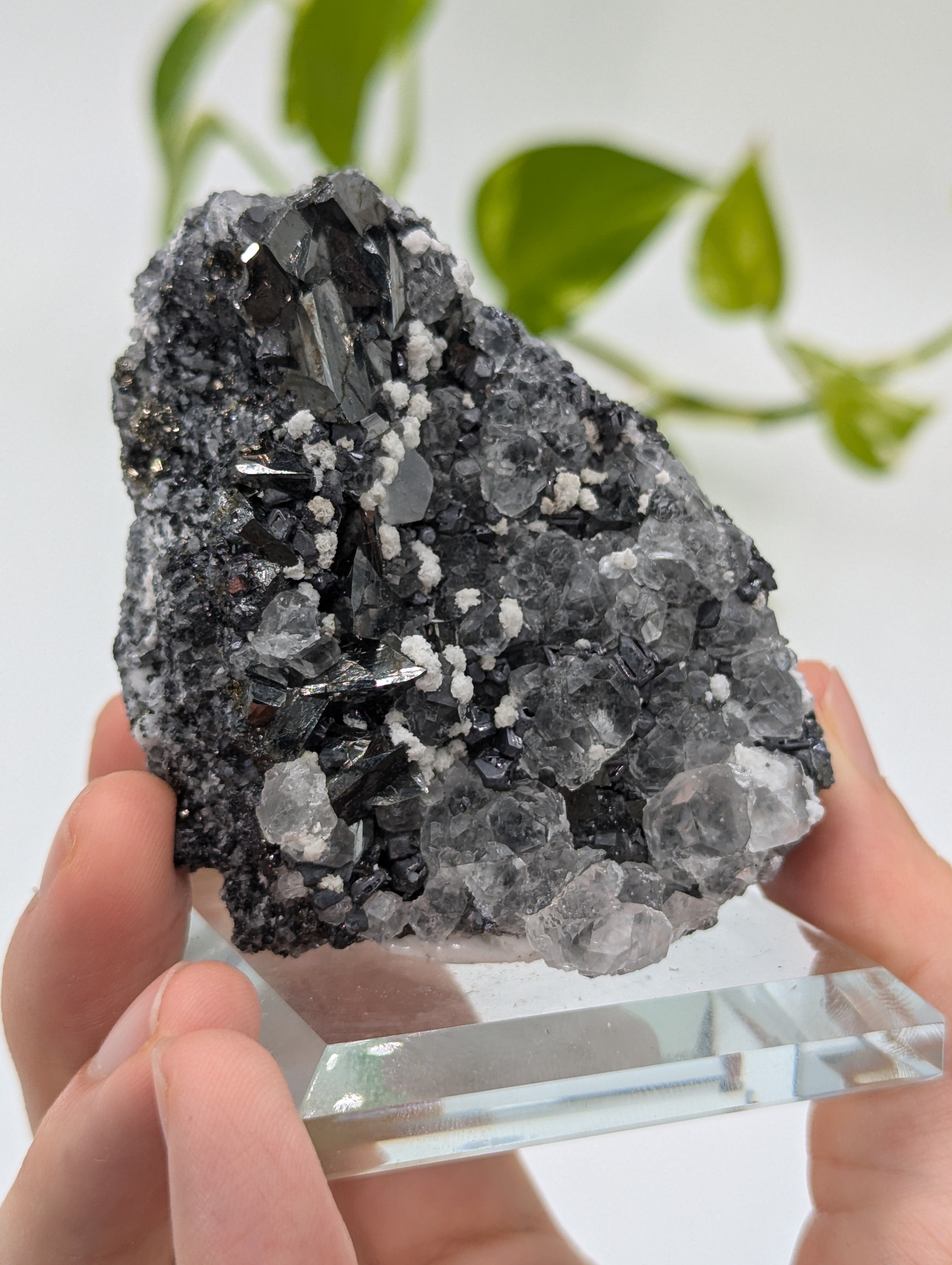 Neuer Fund! Tetraedrit mit Fluorit und Calcit aus Peru