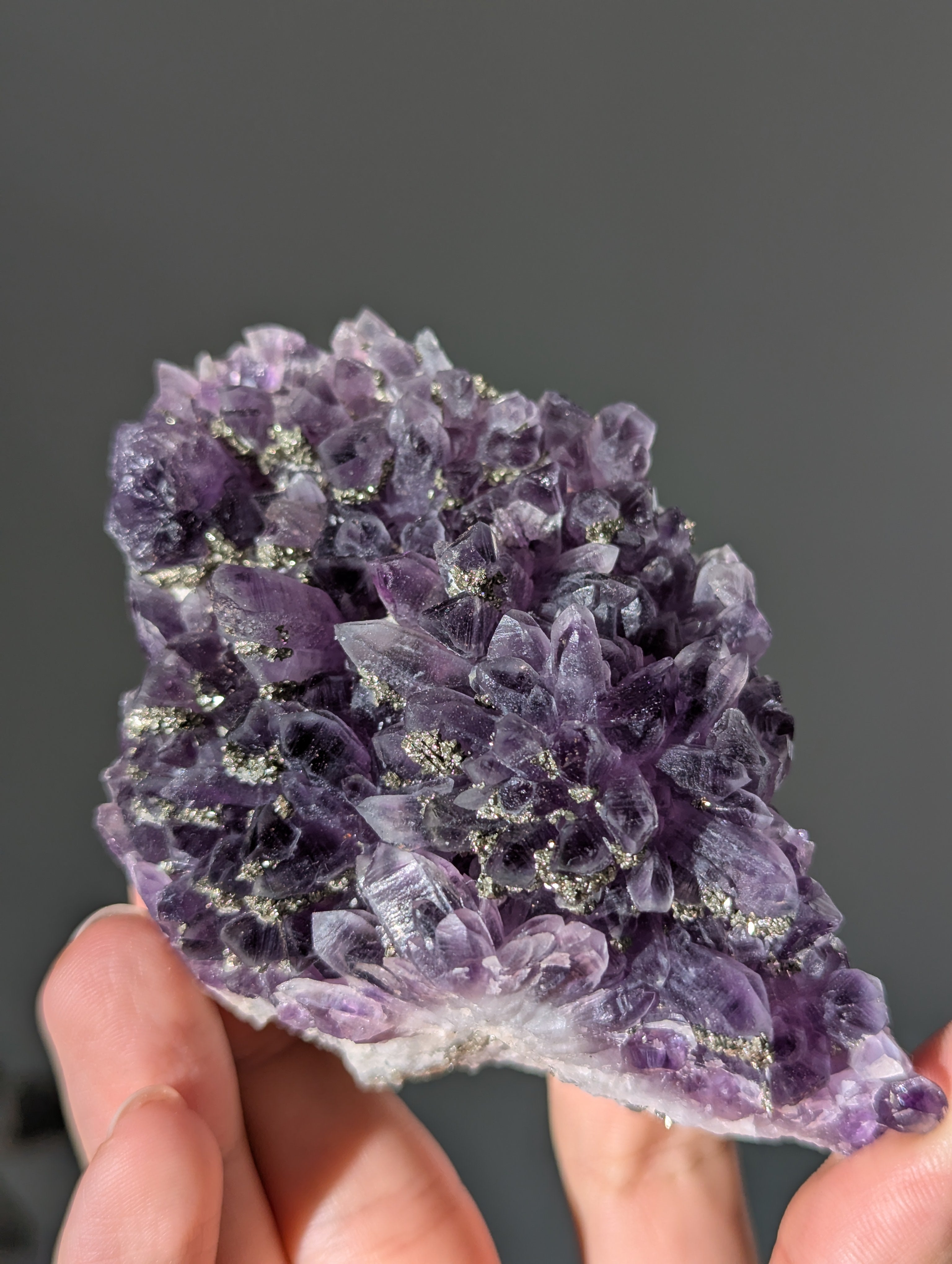 Pyrit auf dunkellila Amethyst aus Bulgarien ✨