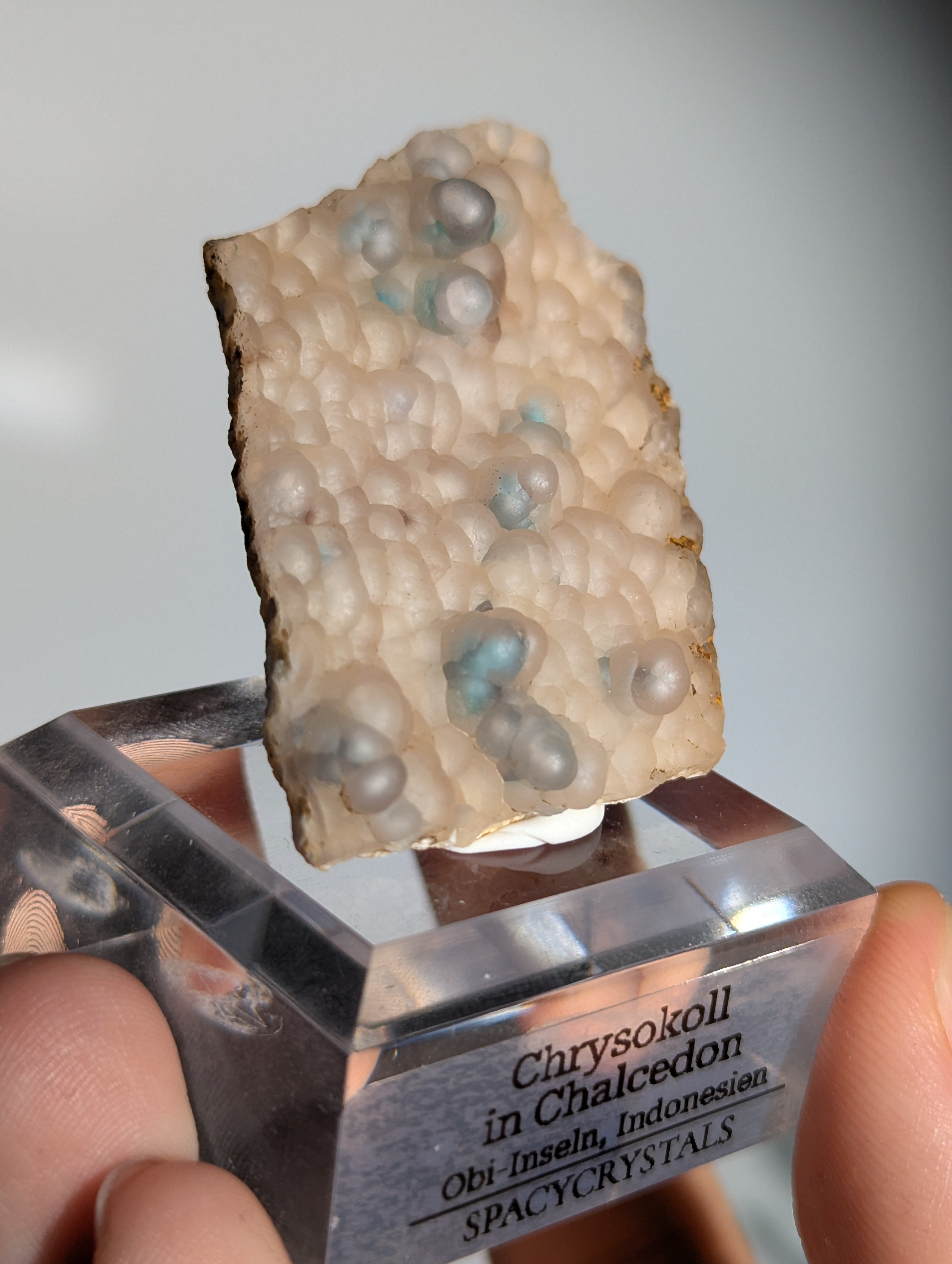 Neufund! Chrysokoll in Chalcedon aus Indonesien