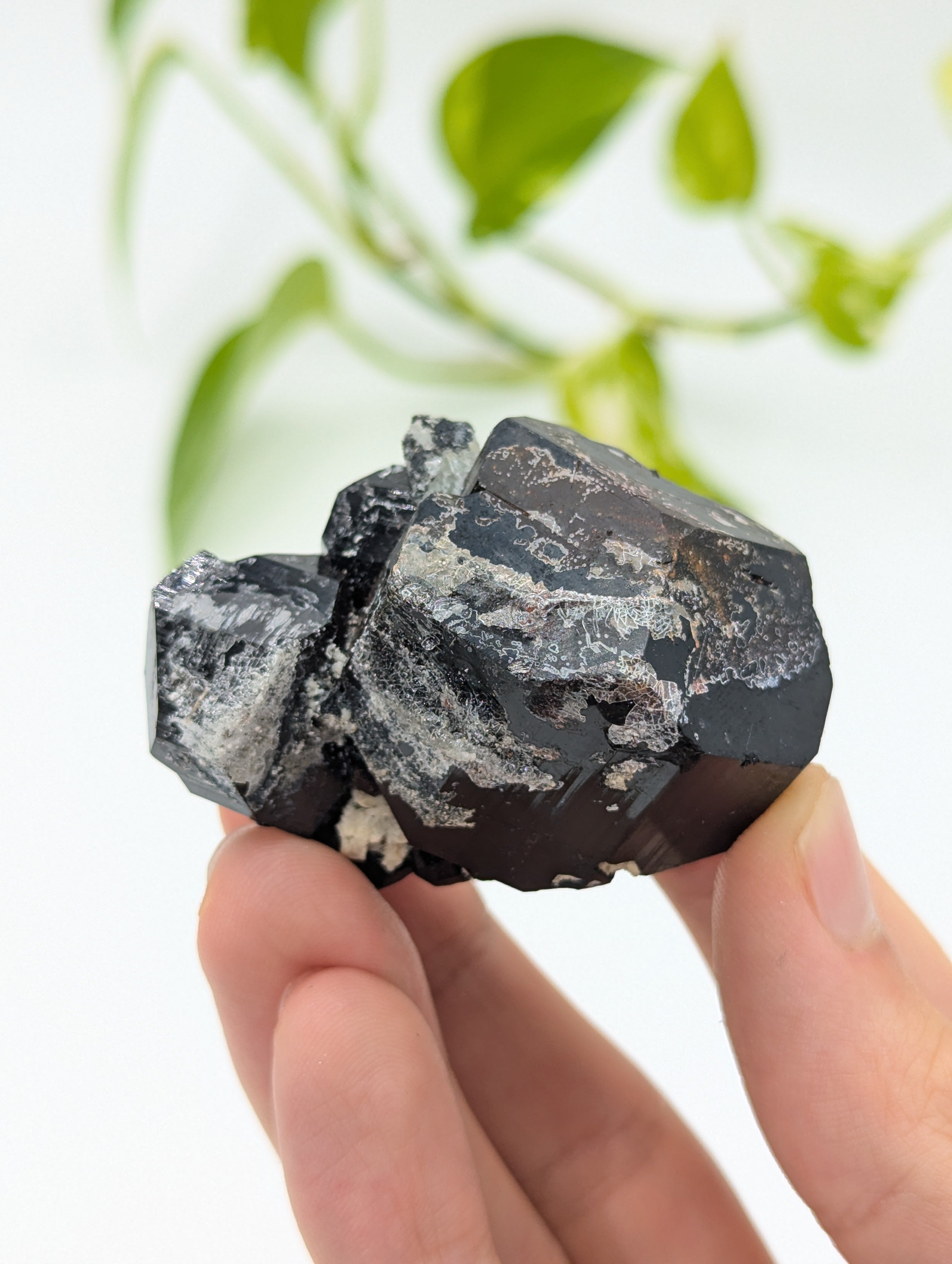 Schwarzer Turmalin (Schörl) aus Erongo IV