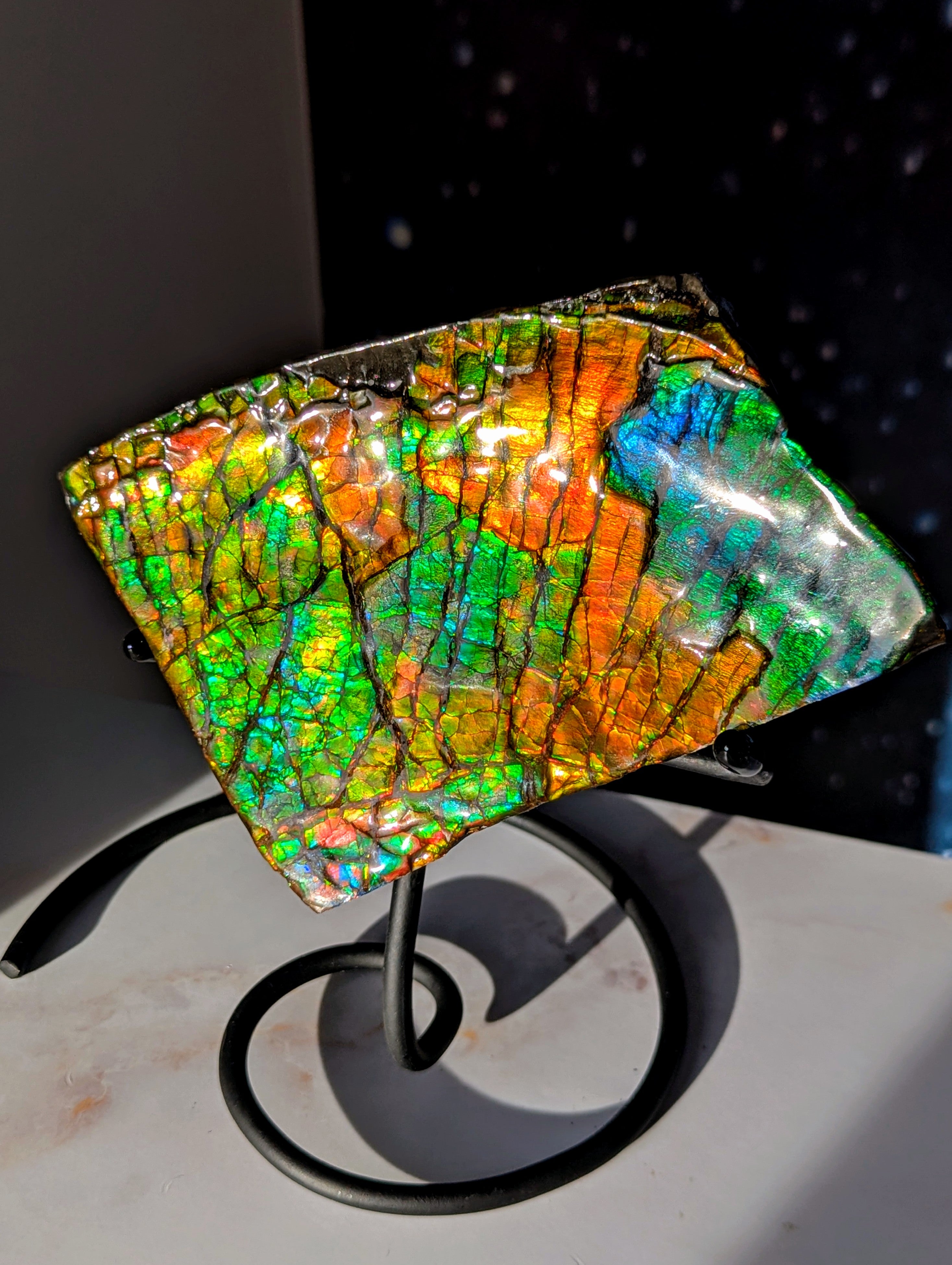 Großer Ammolit auf Ständer mit Farbwechsel aus Kanada