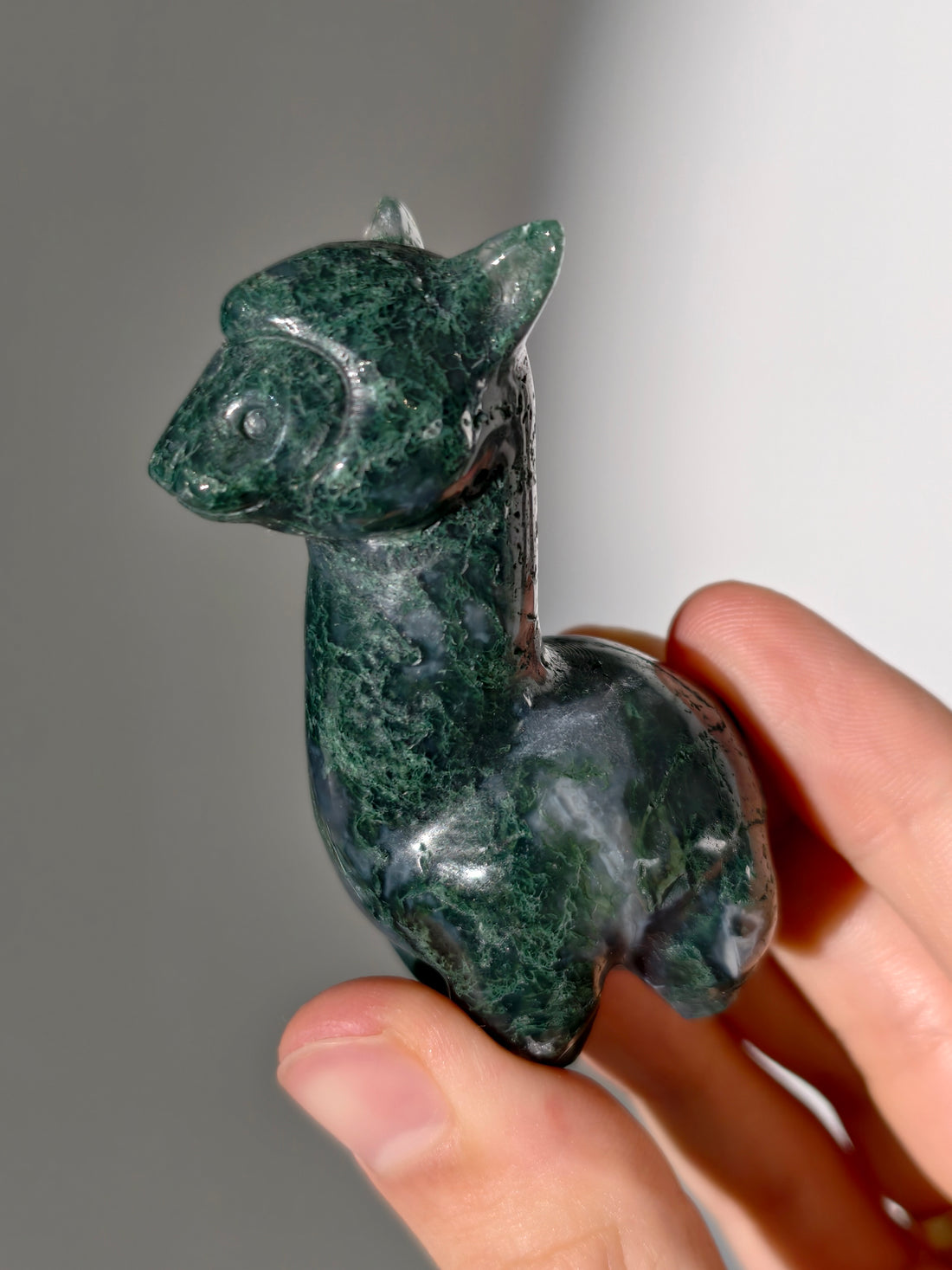 Moosachat Alpaka 🦙