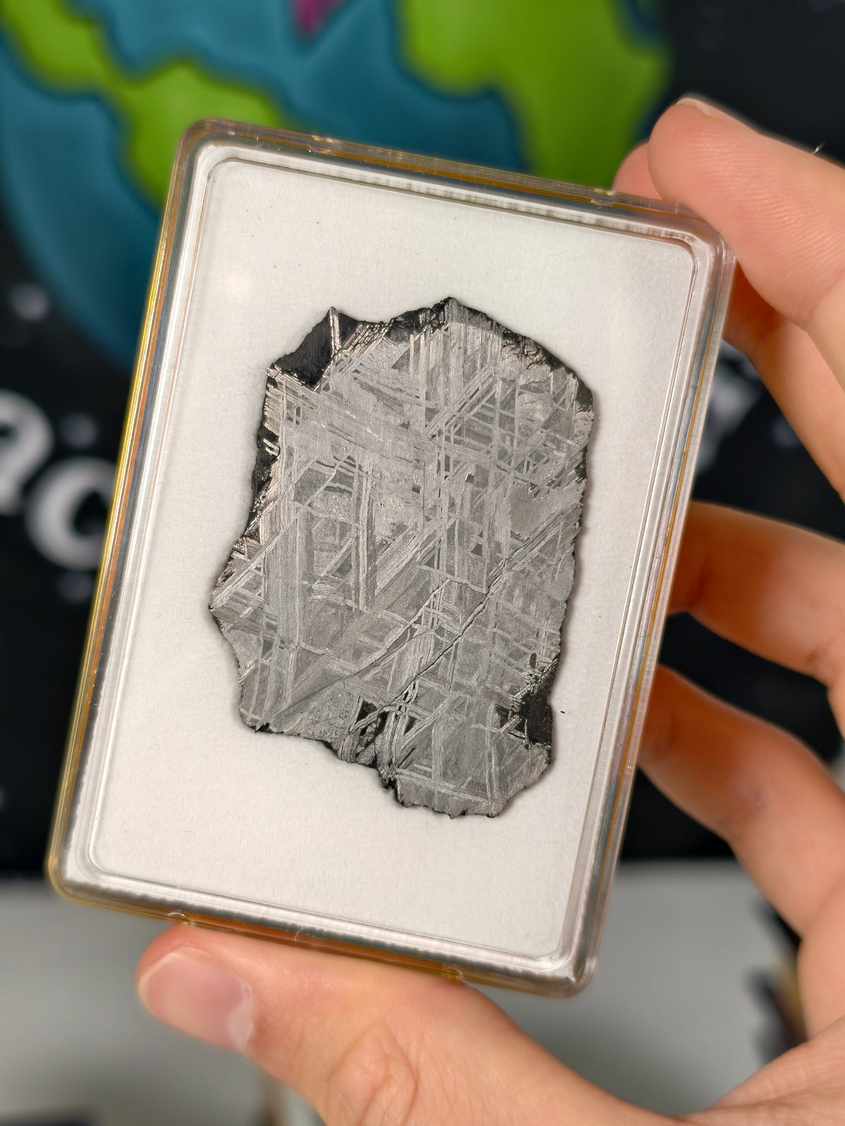 Muonionalusta Meteorit Scheibe 18,17g mit Zertifikat