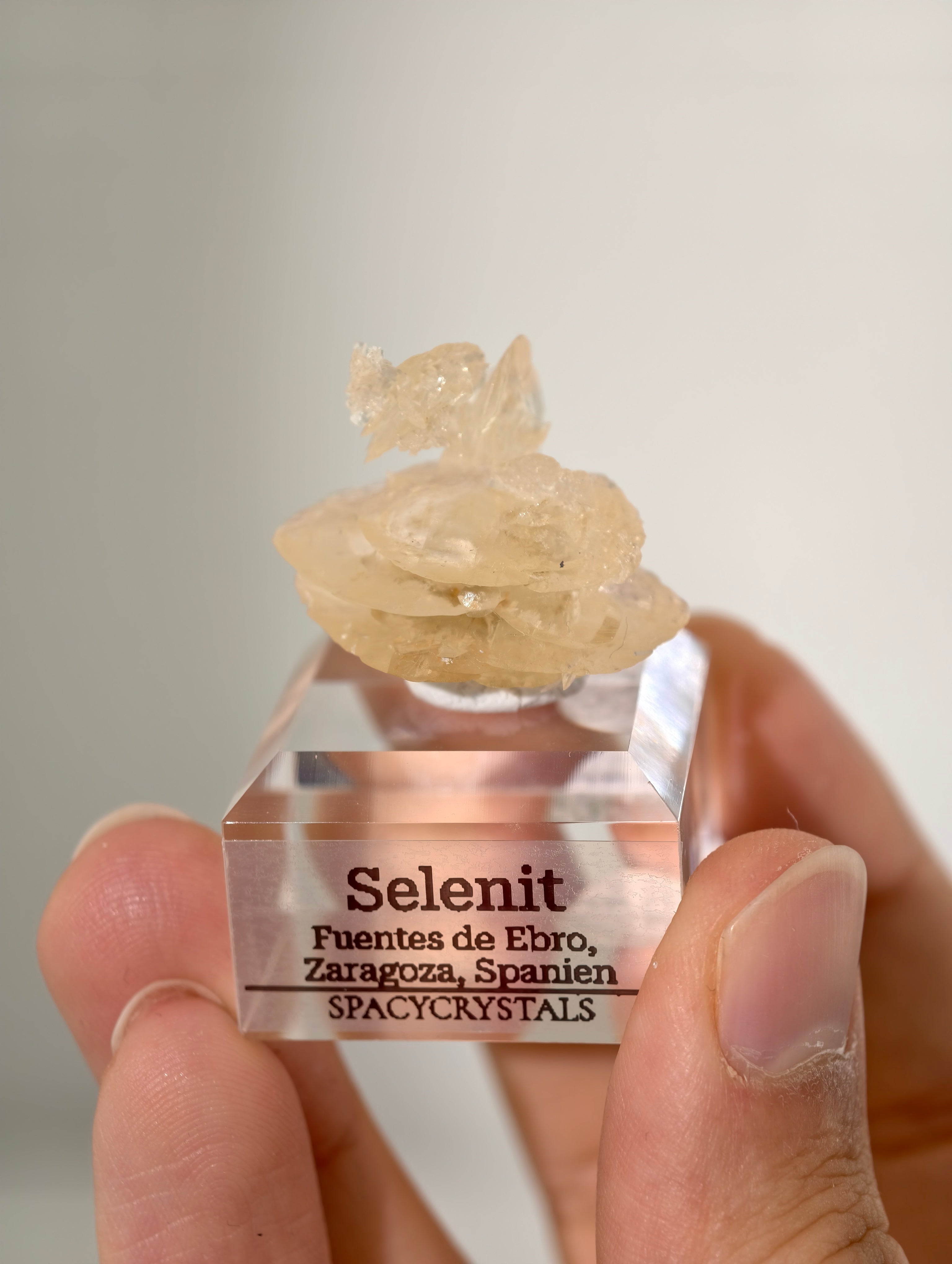 Selenit aus Spanien (UV-Aktiv)