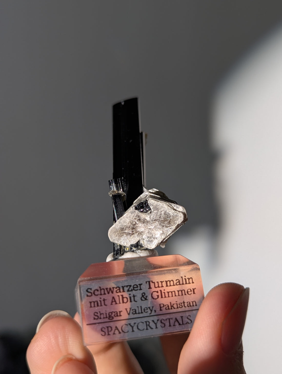 Schwarzer Turmalin (Schörl) mit Albit & Glimmer auf Podest