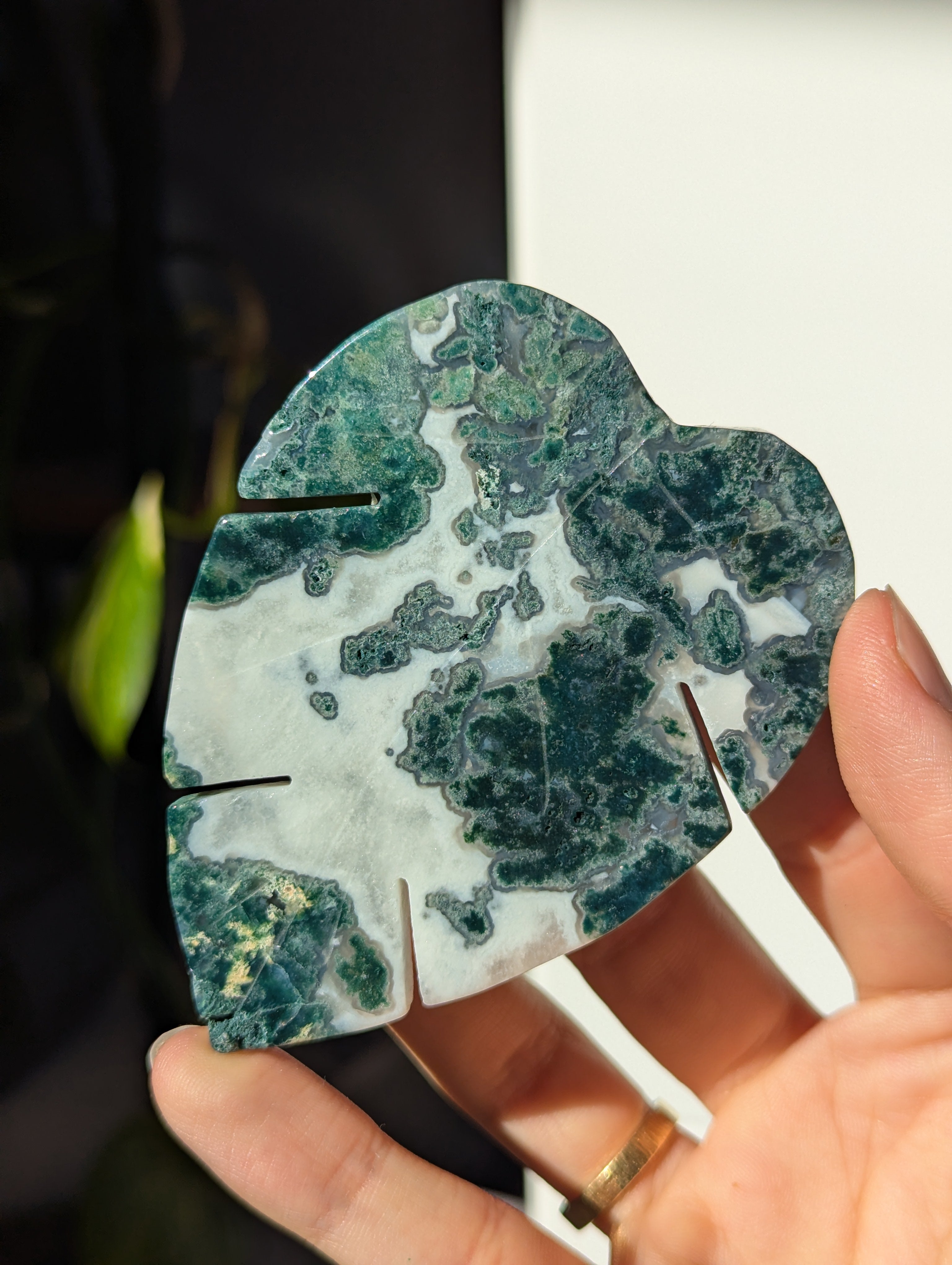 Moosachat Monstera Blatt (wähle dein eigenes)