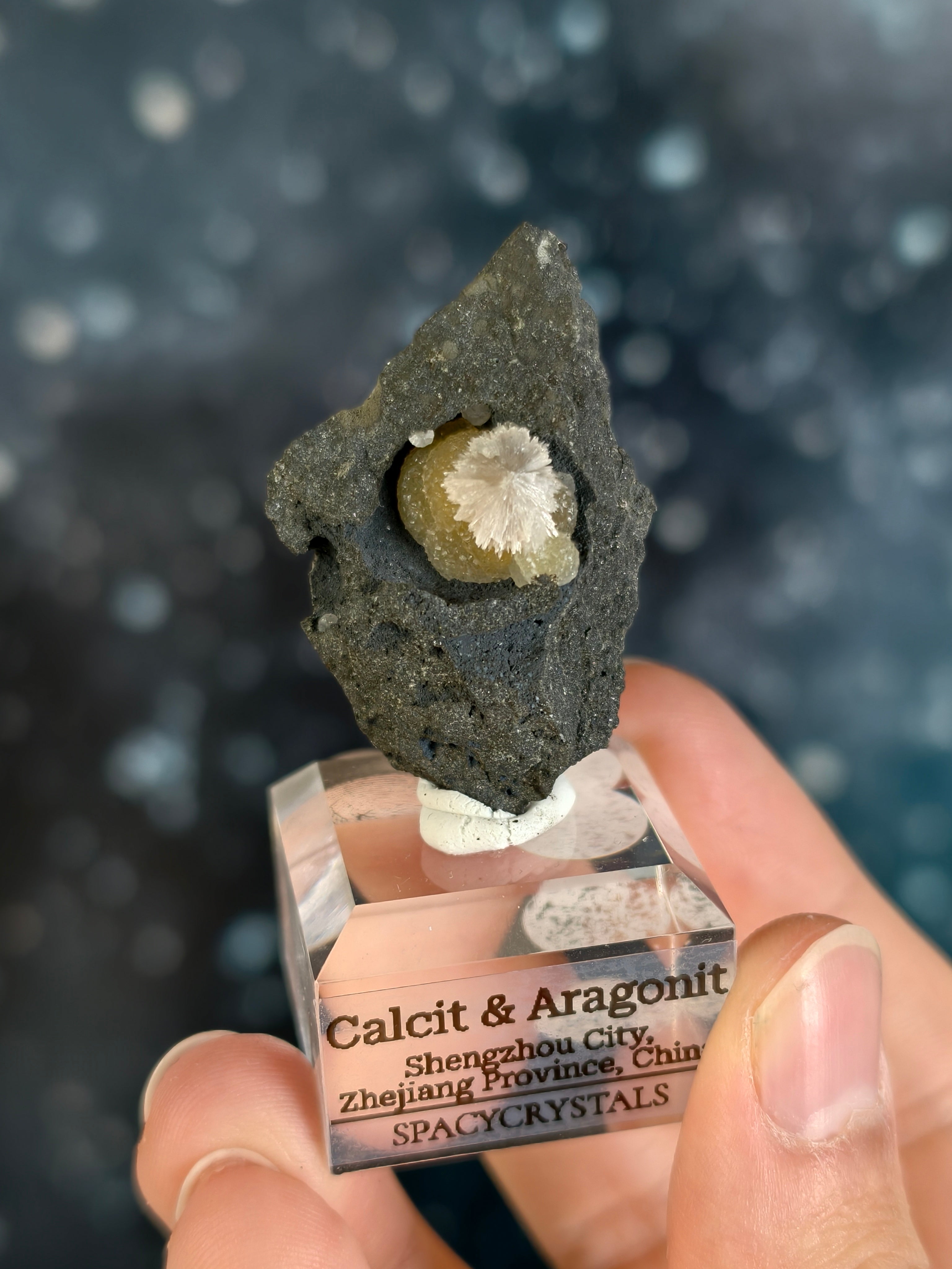 Botryoidaler Calcit mit Aragonit Nadeln auf Basalt - Neuer Fund