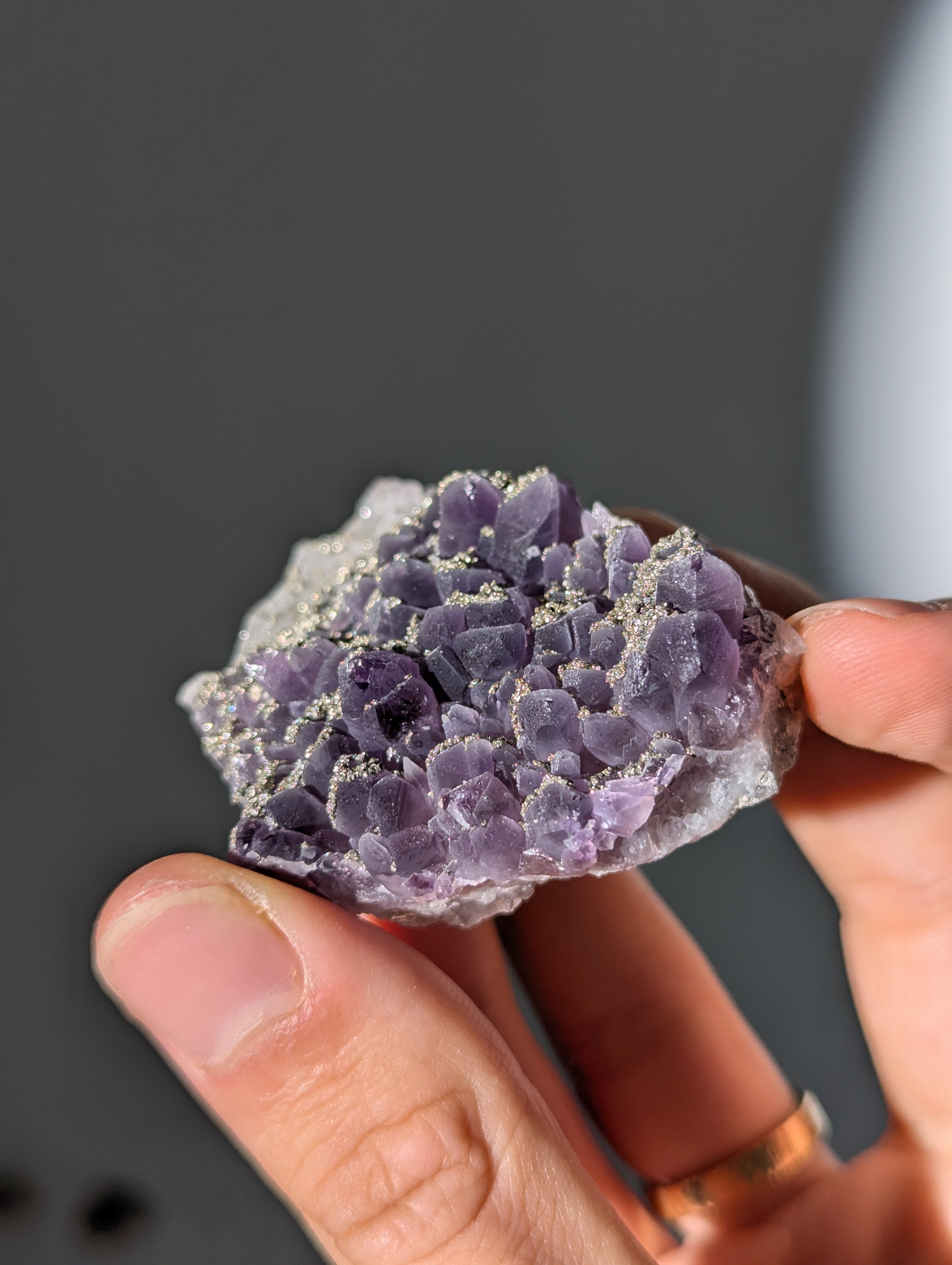 Pyrit auf dunkellila Amethyst aus Bulgarien ✨