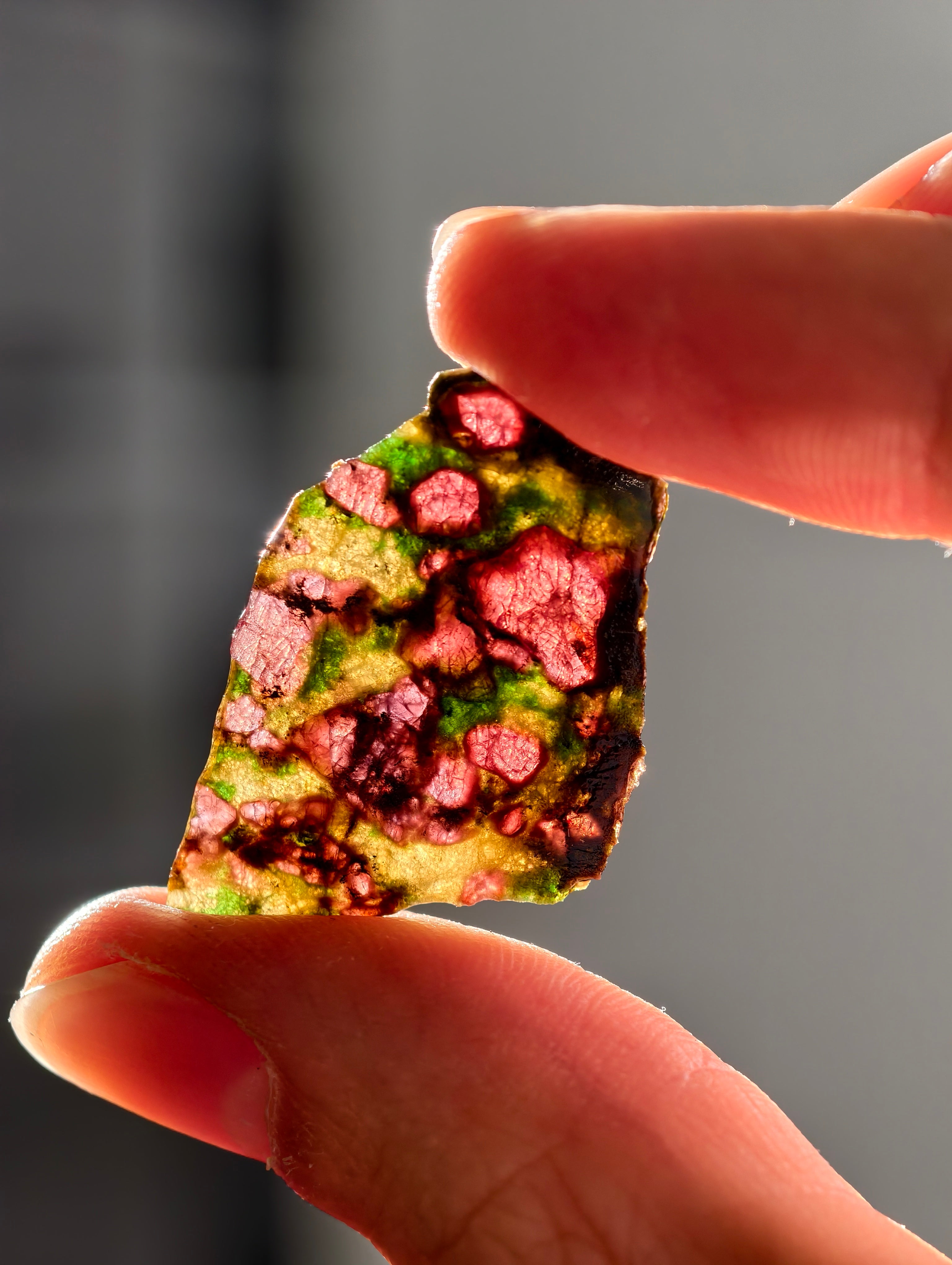 Pyrop, Chromdiopsid, Enstatit Scheibe aus Österreich