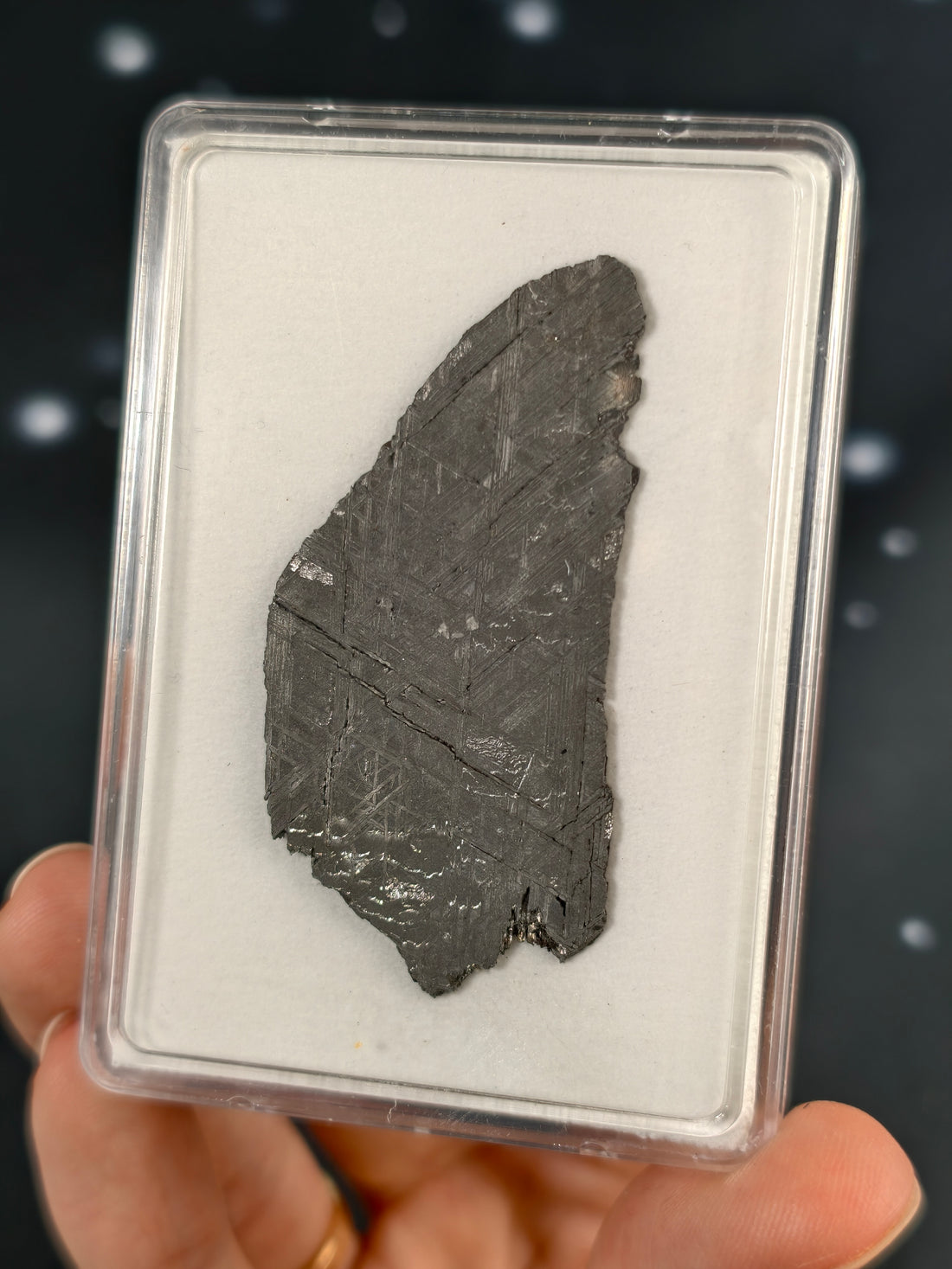 Muonionalusta Meteorit Scheibe 14,7g mit Zertifikat