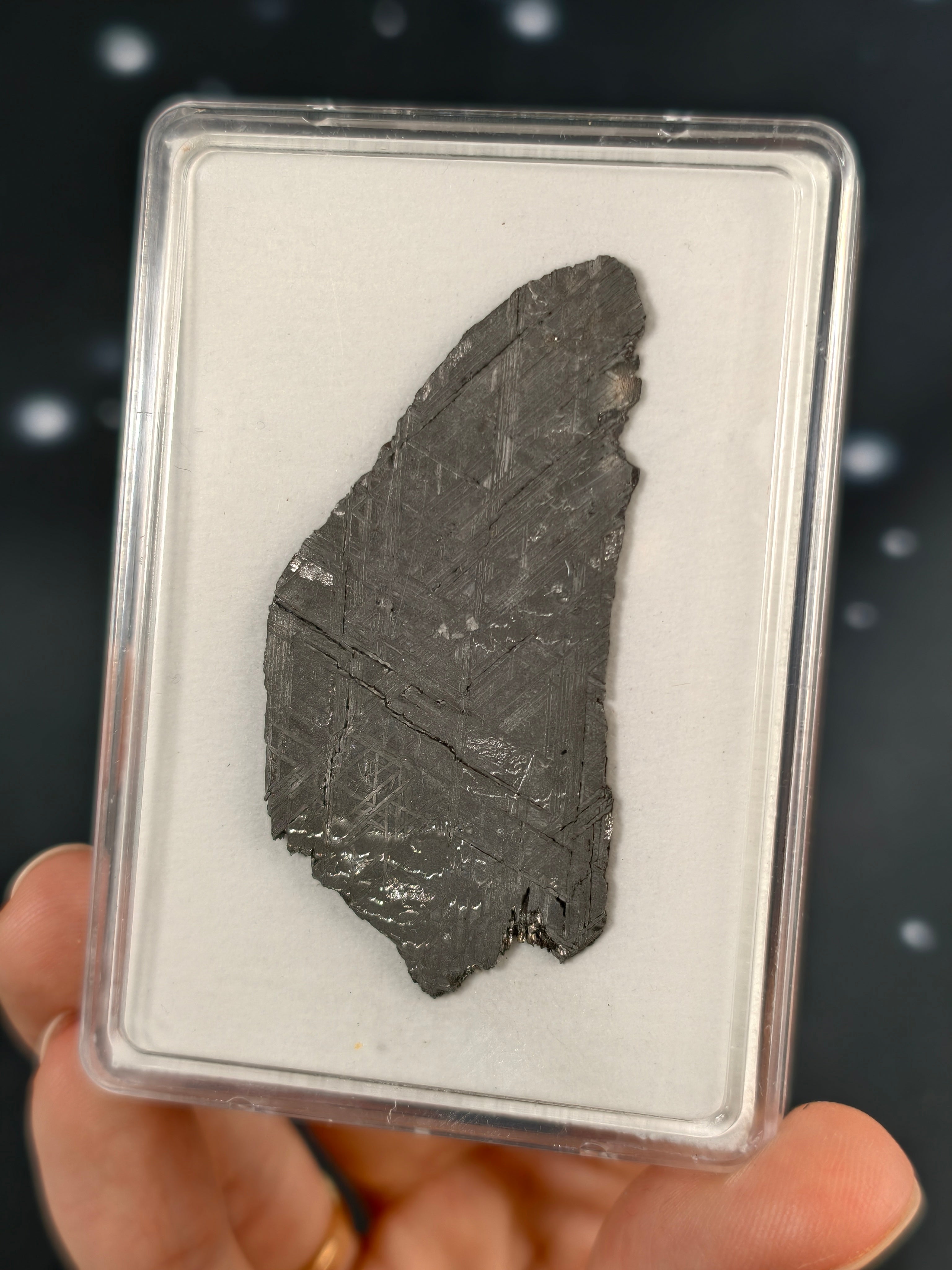 Muonionalusta Meteorit Scheibe 14,7g mit Zertifikat