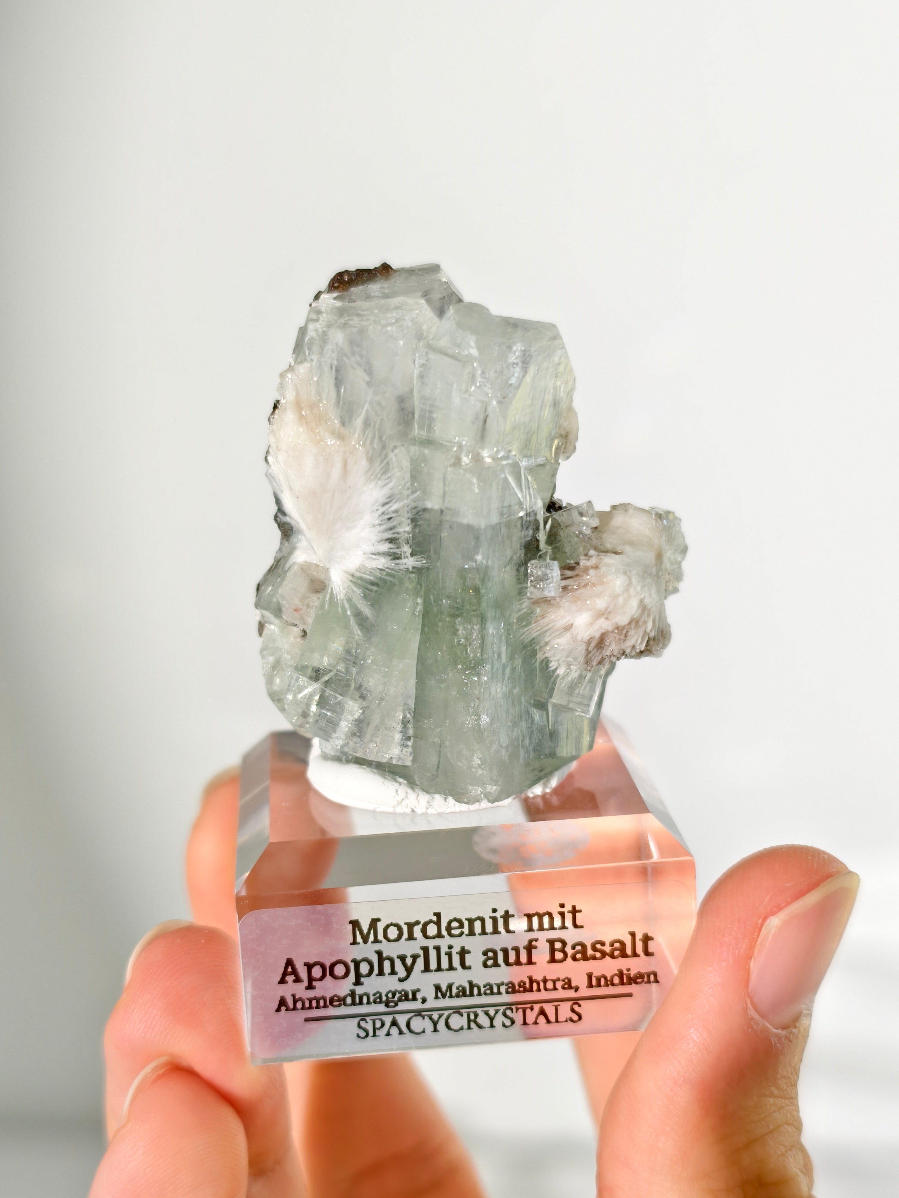Mordenit mit Apophyllit auf Basalt aus Indien