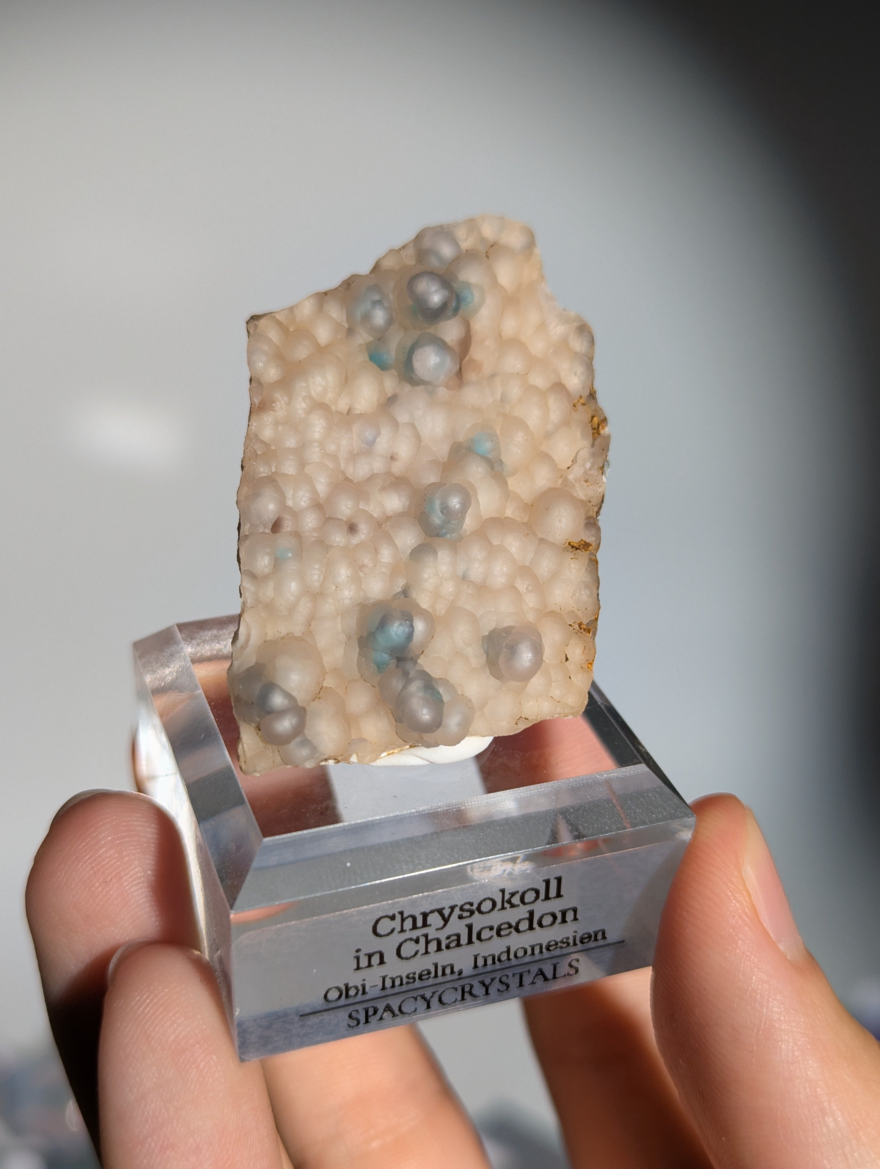 Neufund! Chrysokoll in Chalcedon aus Indonesien