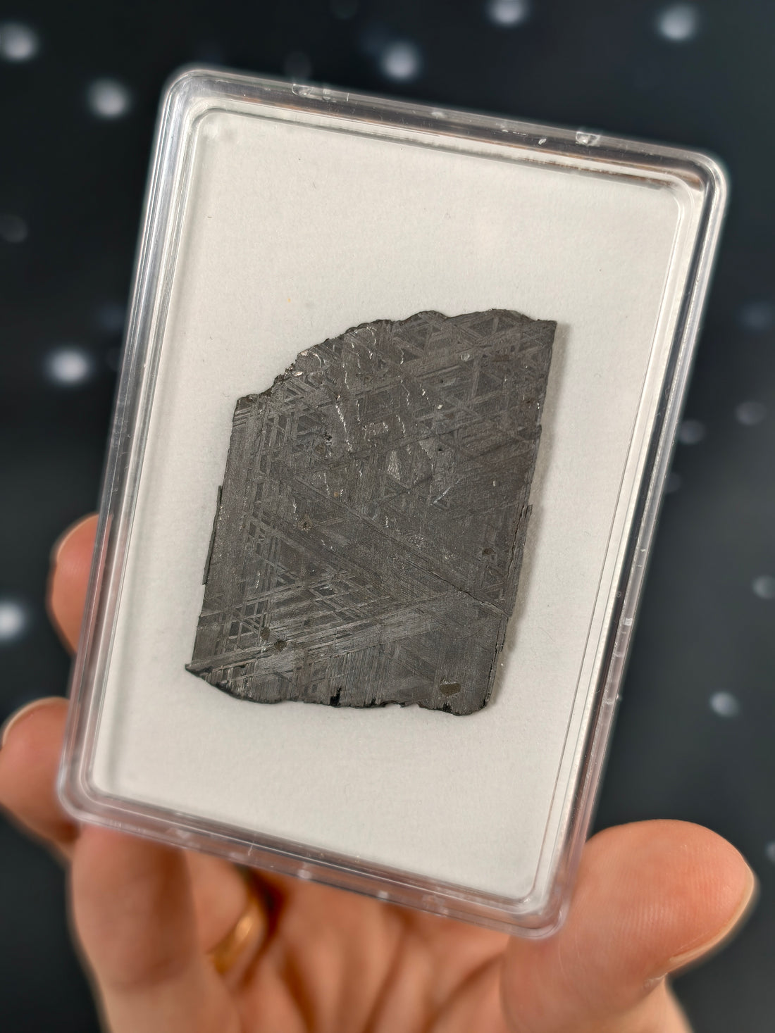 Muonionalusta Meteorit Scheibe 15,1g mit Zertifikat