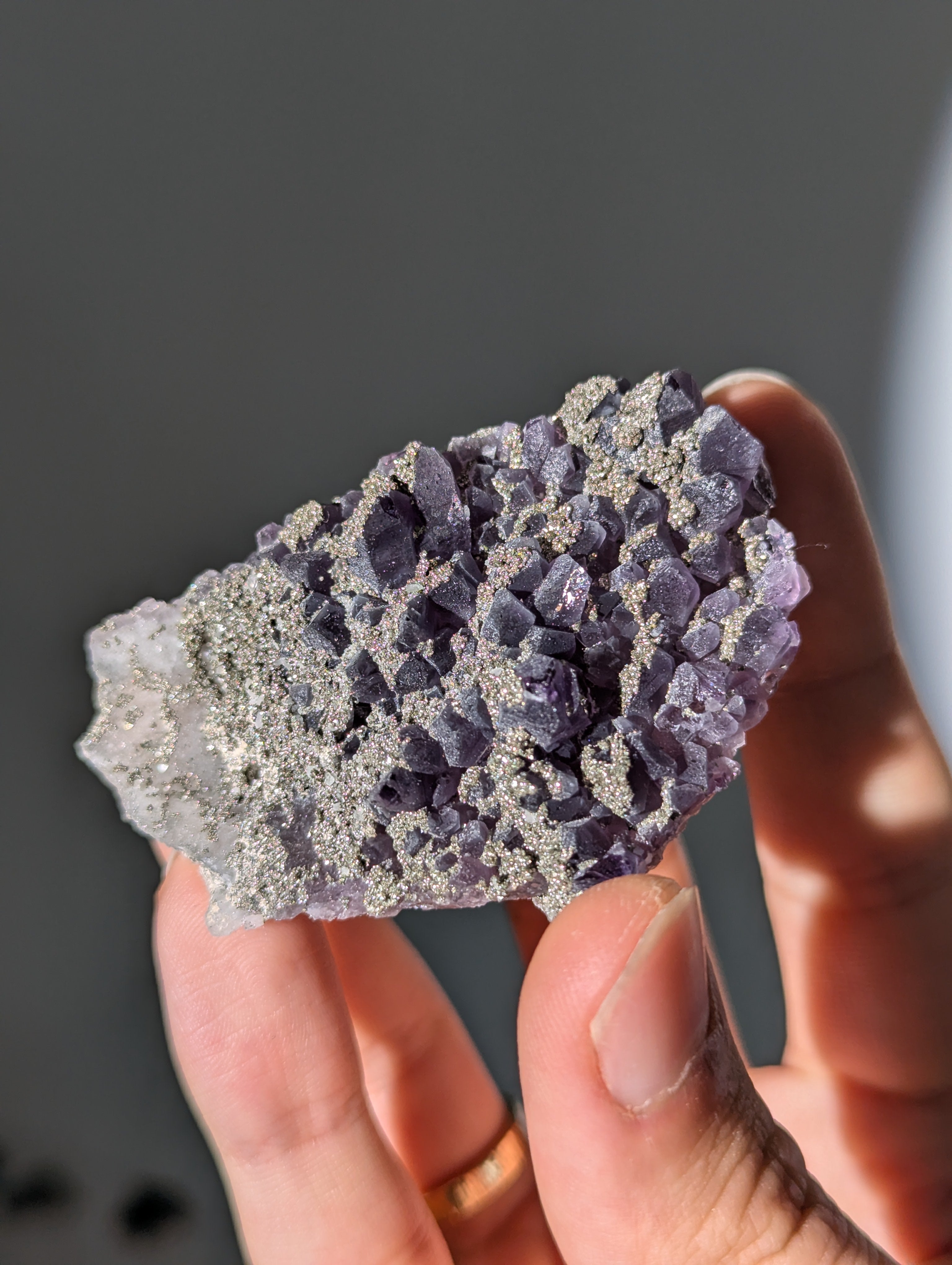 Pyrit auf dunkellila Amethyst aus Bulgarien ✨