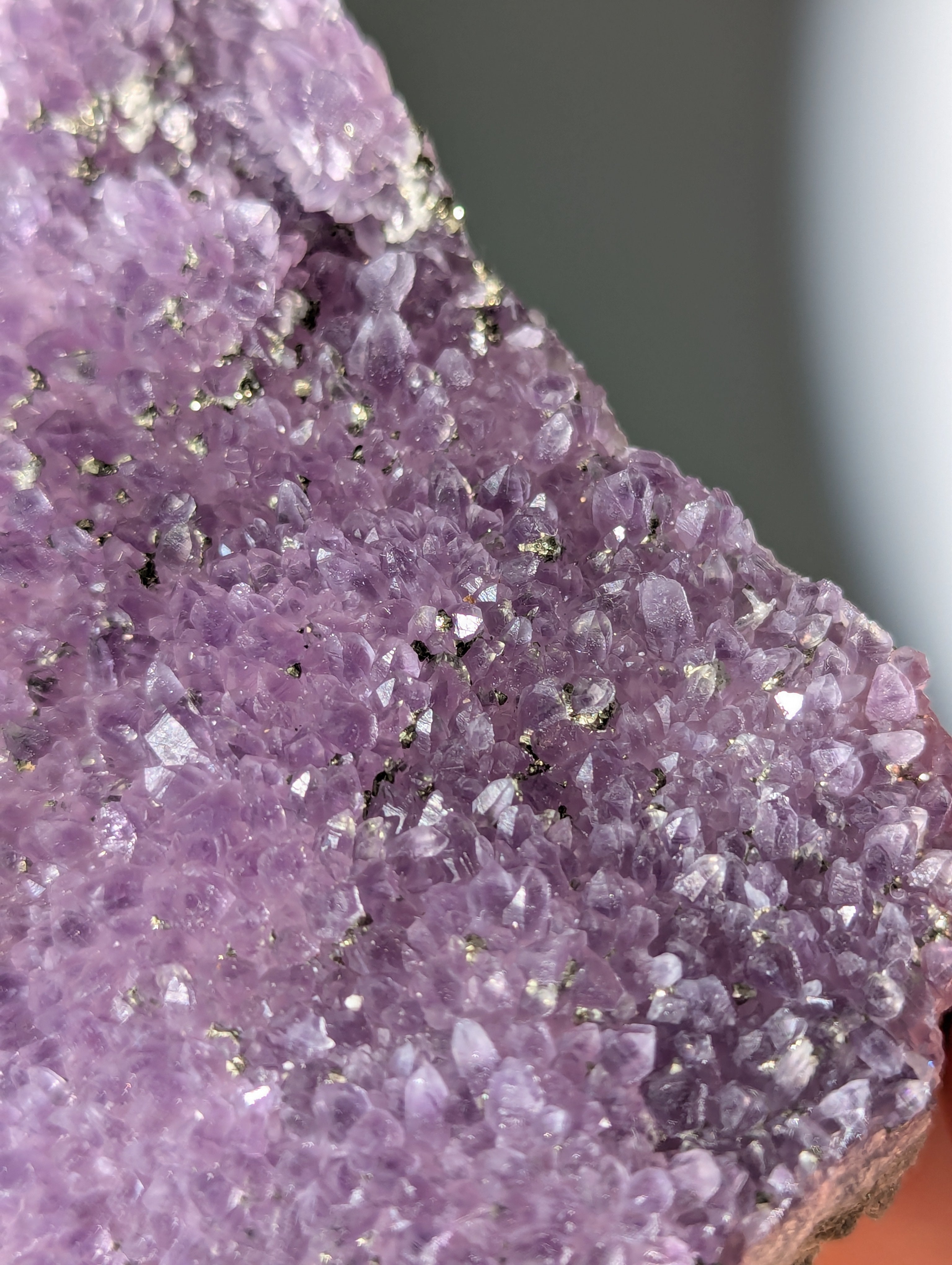 Pyrit auf Amethyst aus Bulgarien