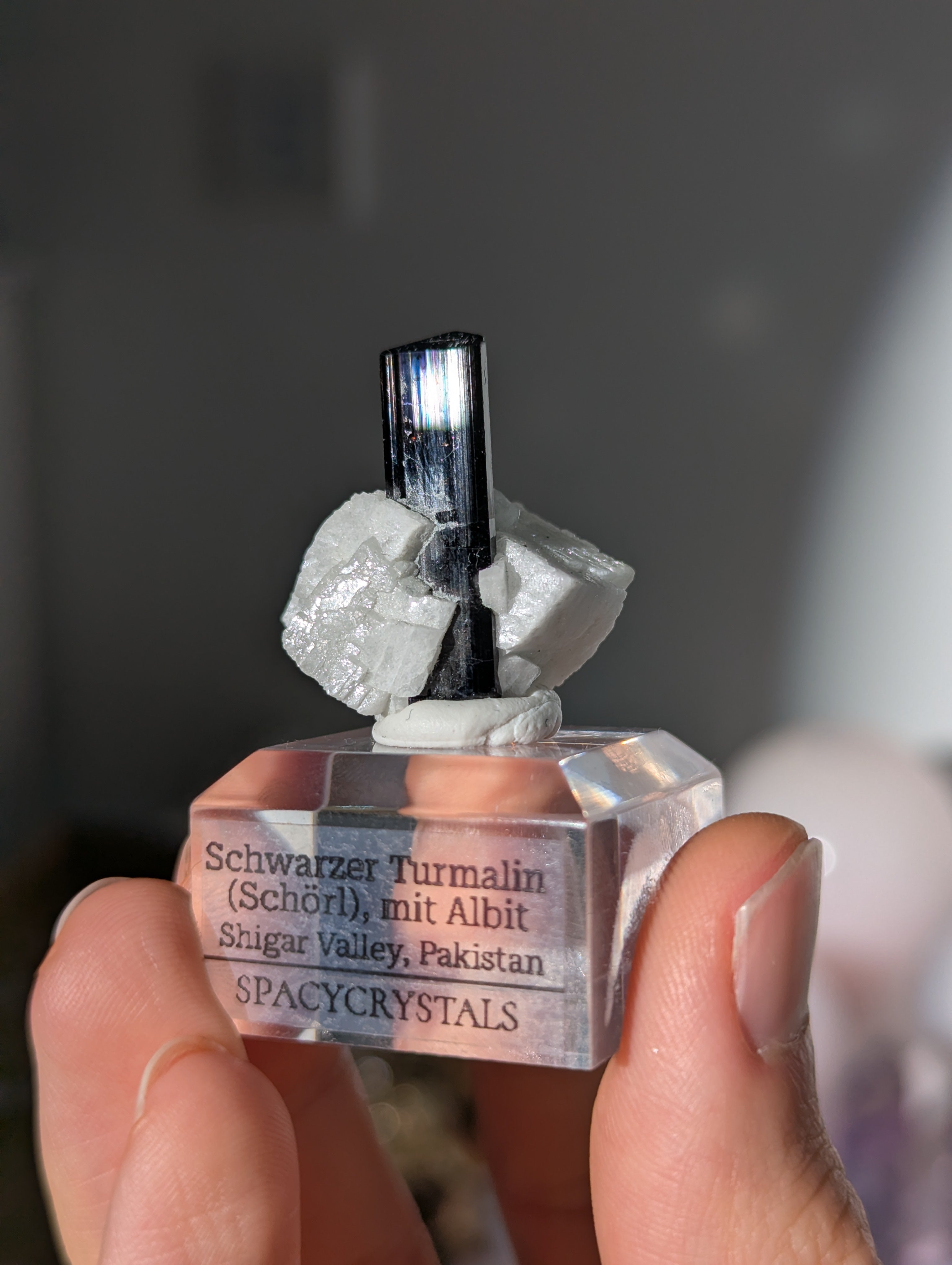 Schwarzer Turmalin (Schörl) mit Albit auf Podest