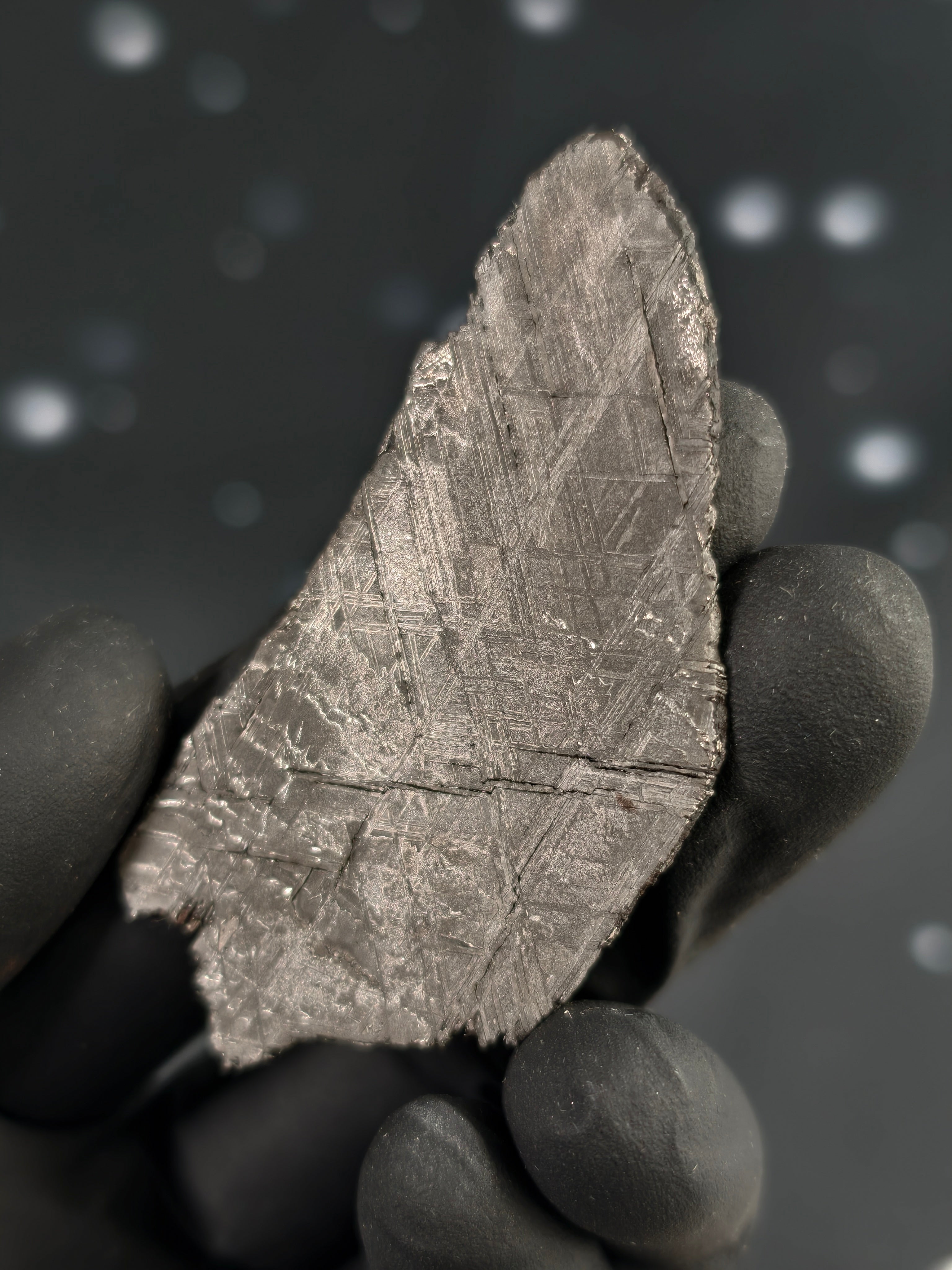 Muonionalusta Meteorit Scheibe 14,7g mit Zertifikat